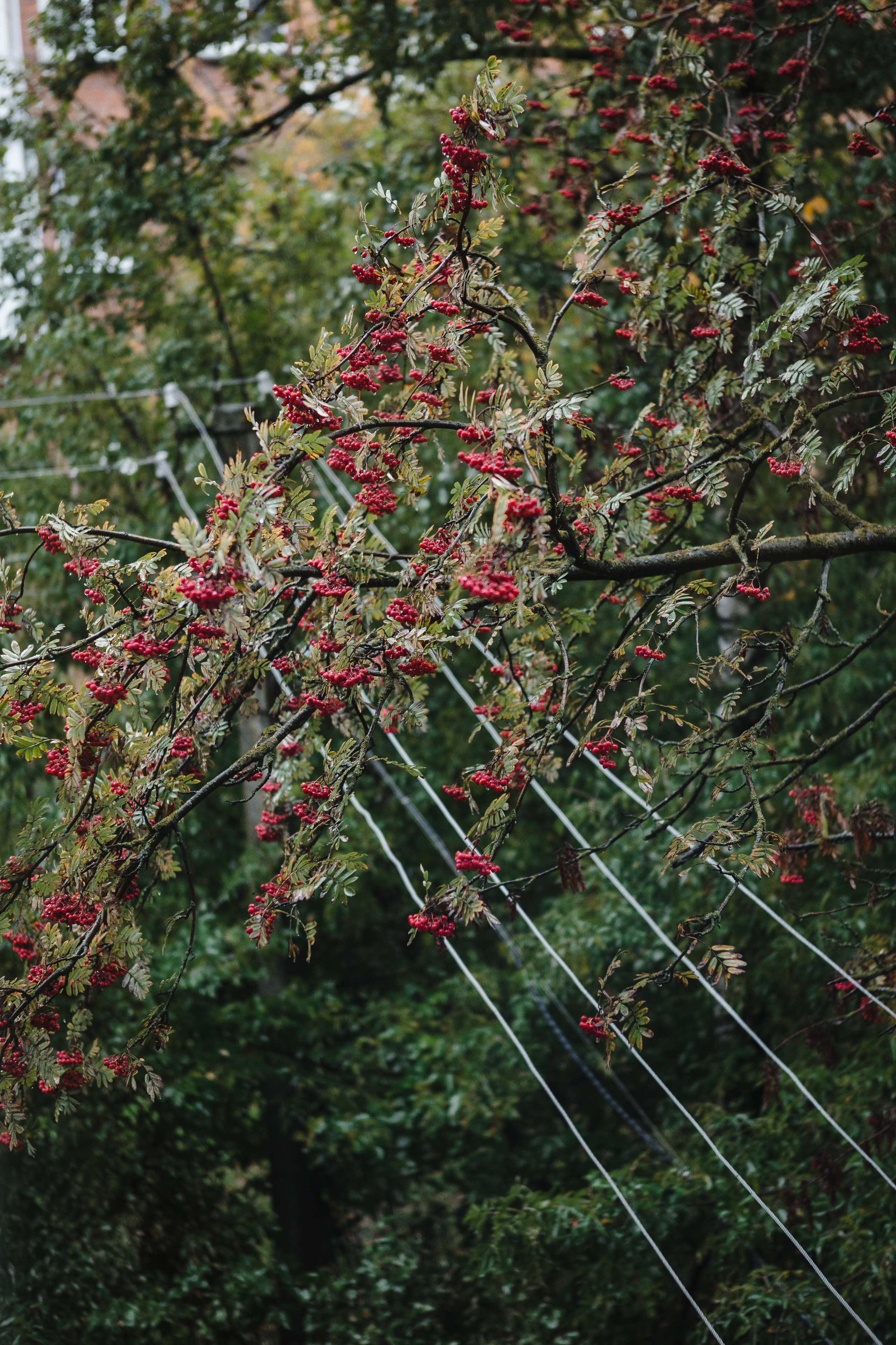 Артур и Даша. Осенняя свадьба. Смоленск. Детский, семейный и школьный фотограф Смоленск Москва Влад Старов