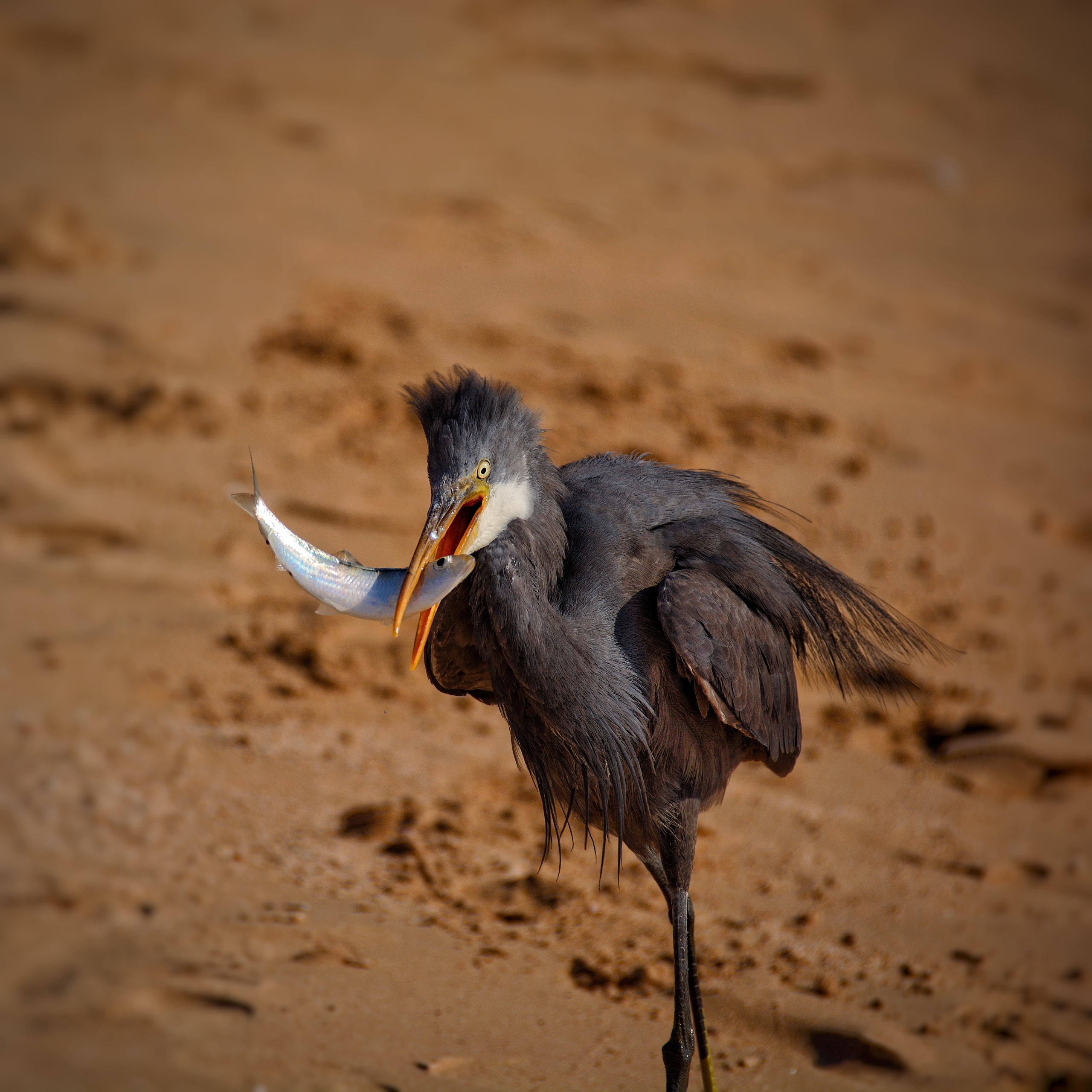 Мои работы. Фотограф Ваших событий 📸
