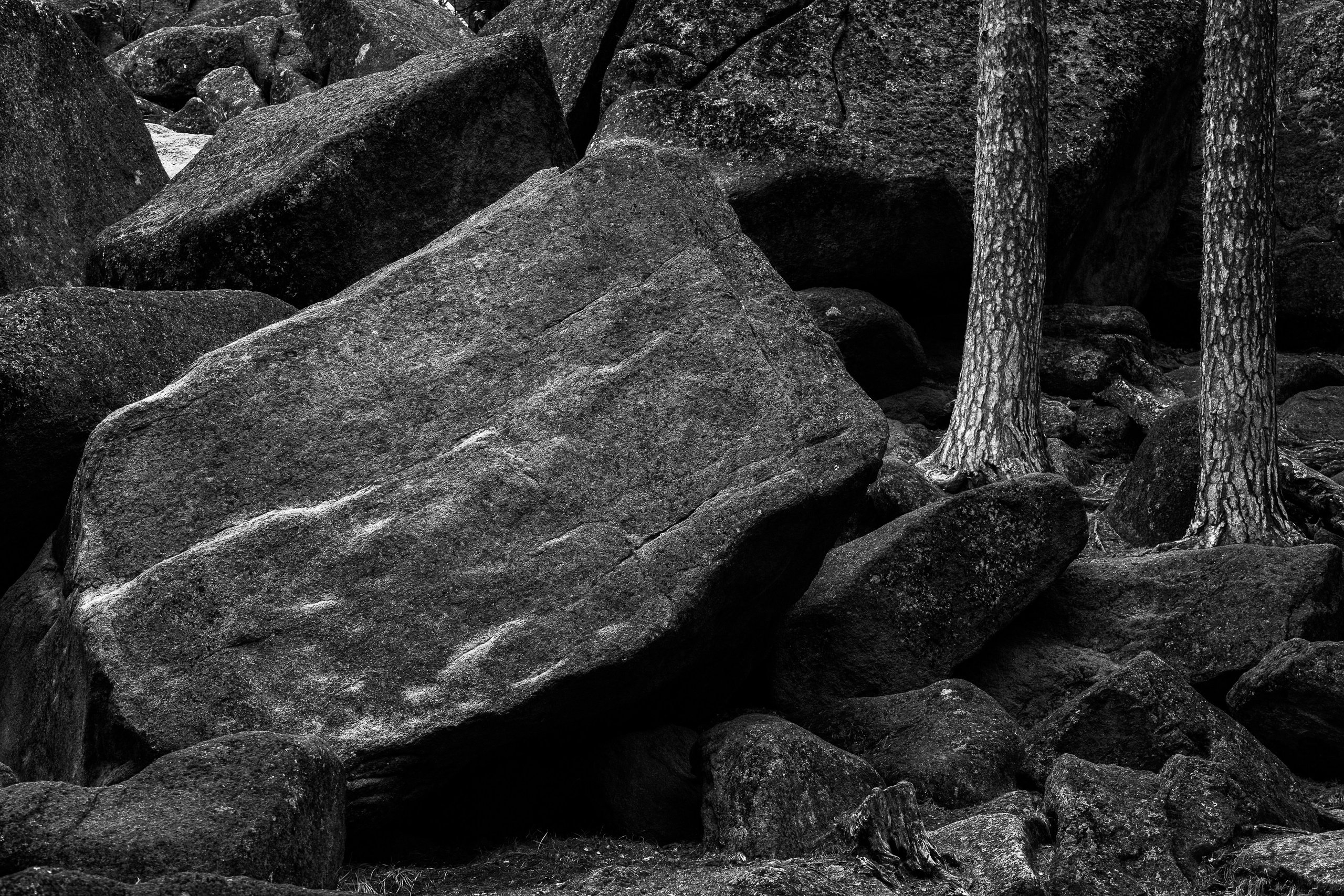 Питерский фотоквартирник. Фотограф в Москве Татьяна Макотра