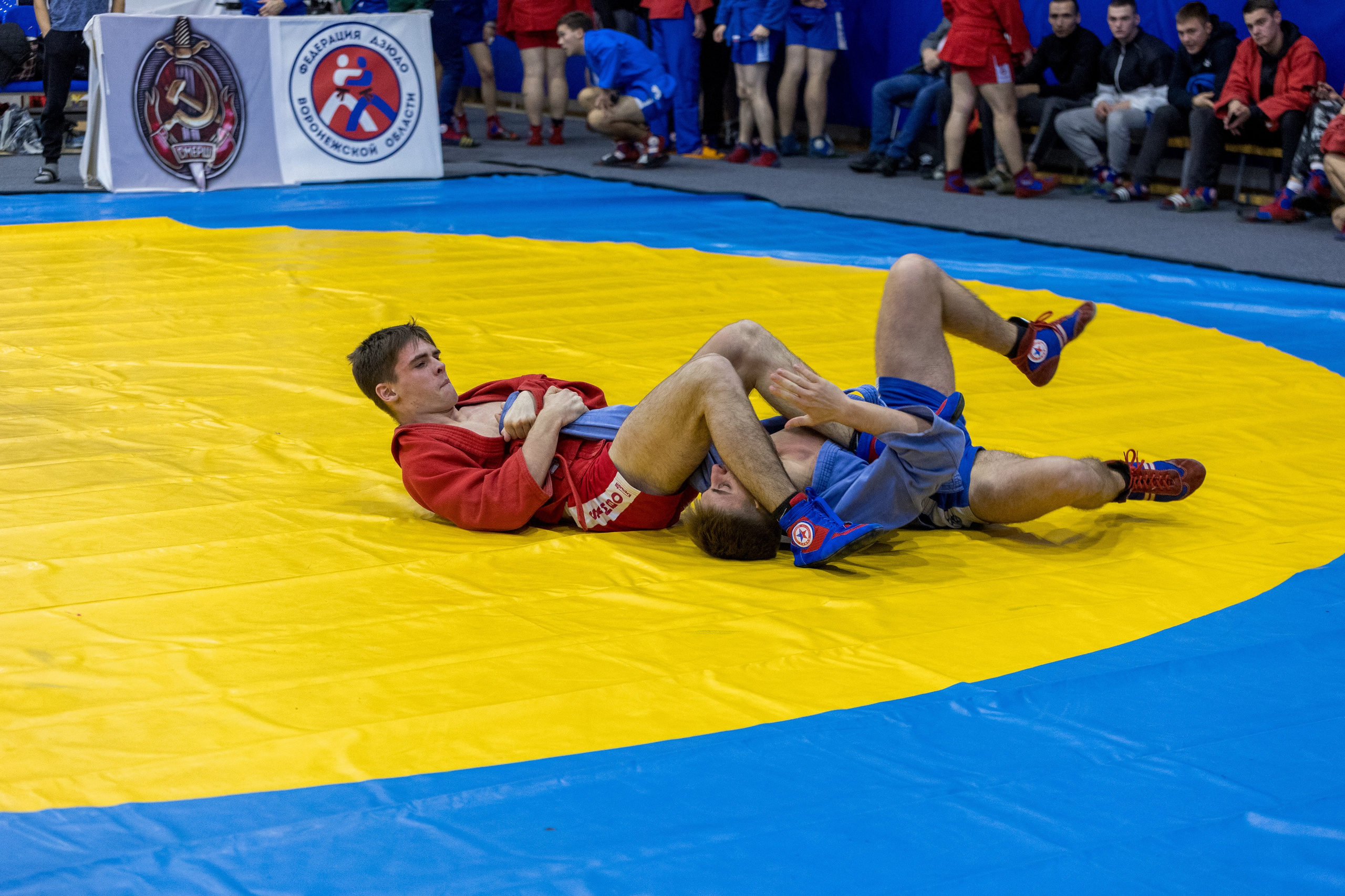 Чемпионат и Первенство по Самбо. Владислав Волков | Фотография и видеосъемка в Воронеже