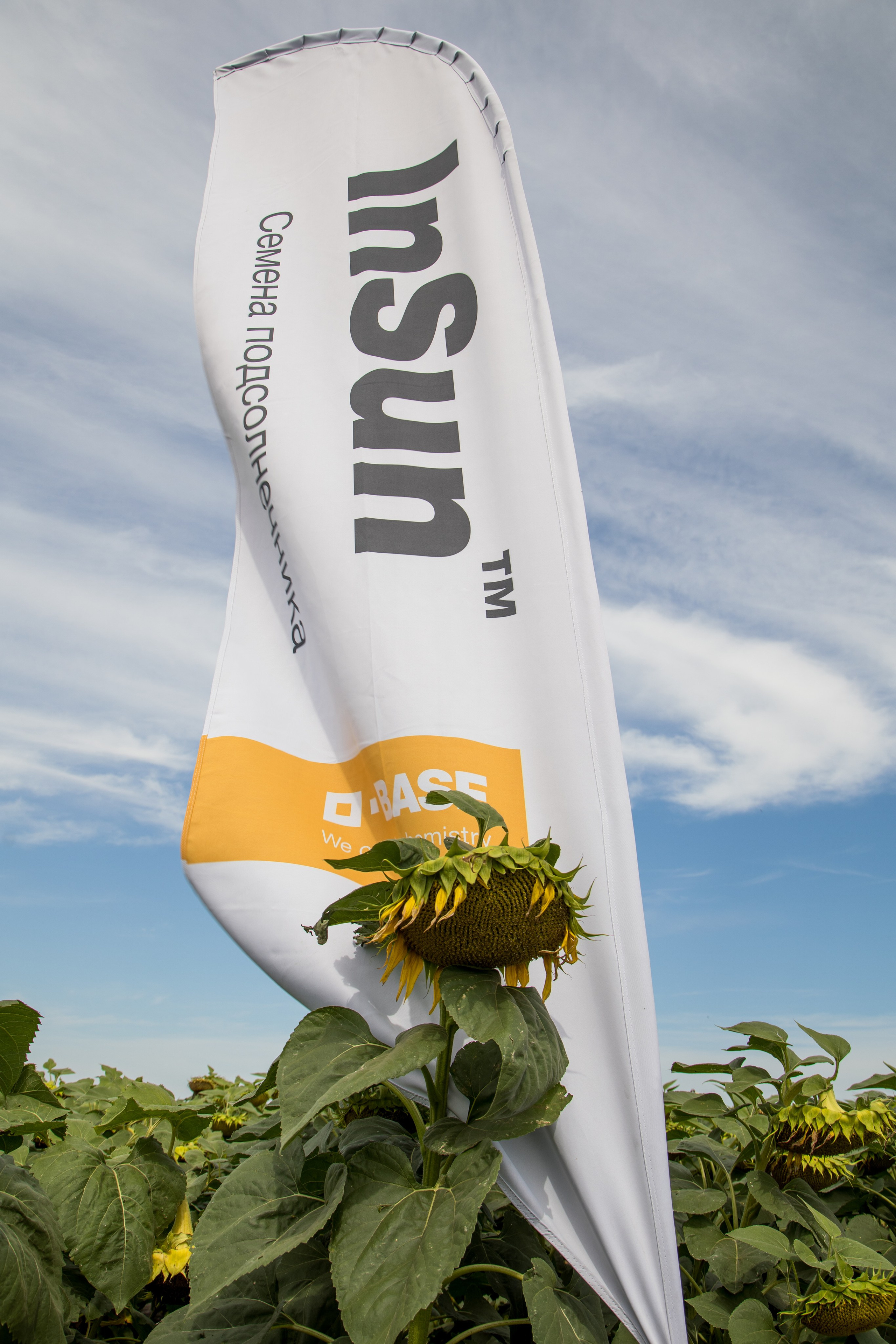 Решения для сельского хозяйства BASF 16.08.2022. Владислав Волков | Фотография и видеосъемка в Воронеже