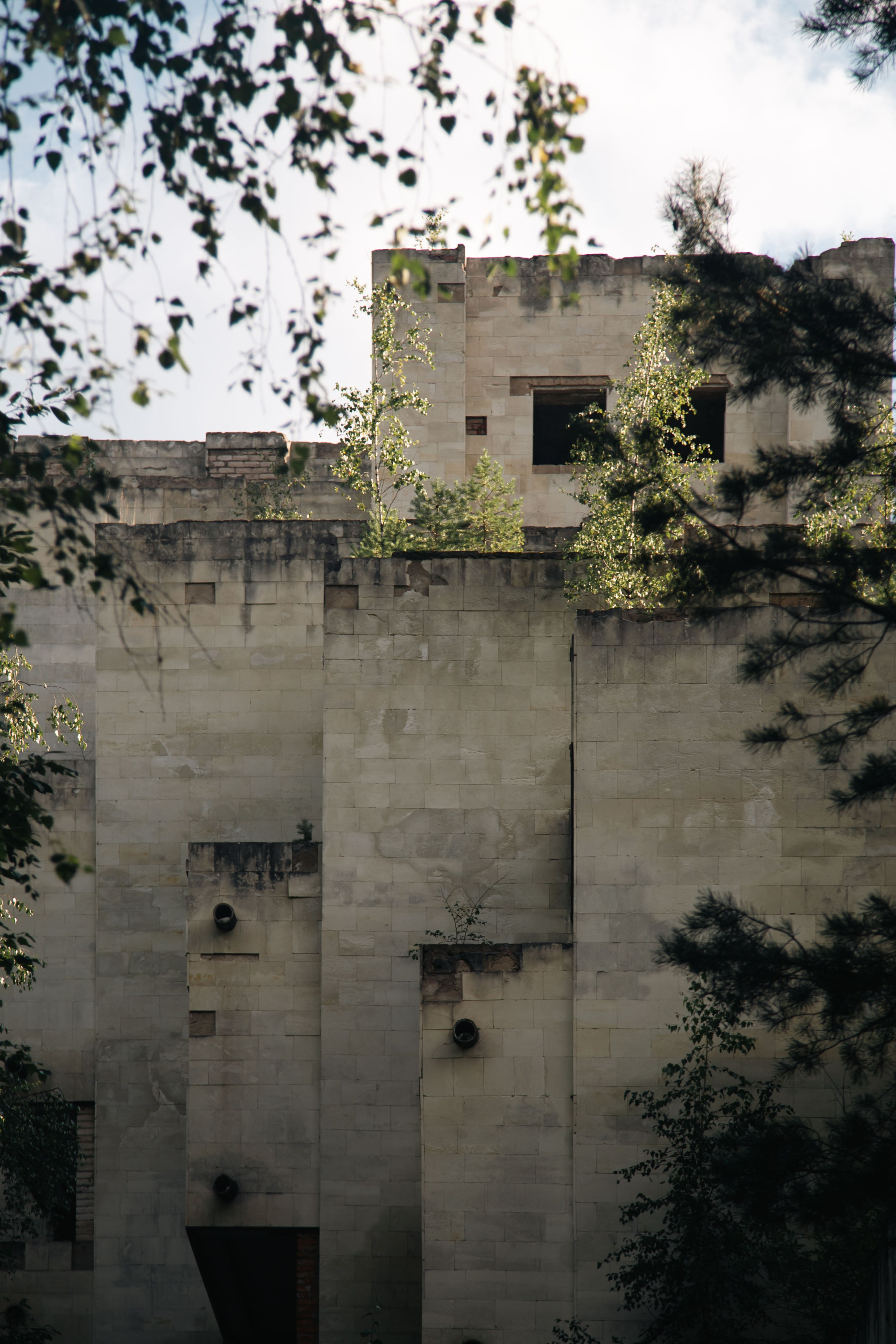 Паулино. Dmitriy [KCCC] is a pretty cool photographer