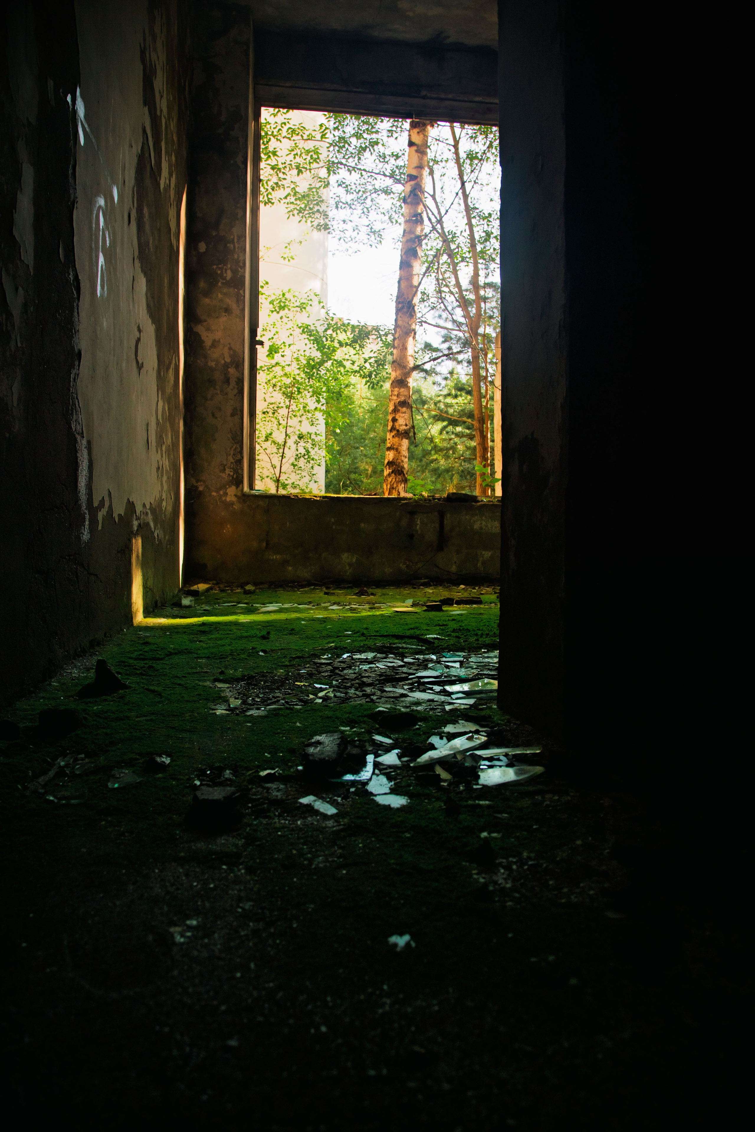 Паулино. Dmitriy [KCCC] is a pretty cool photographer