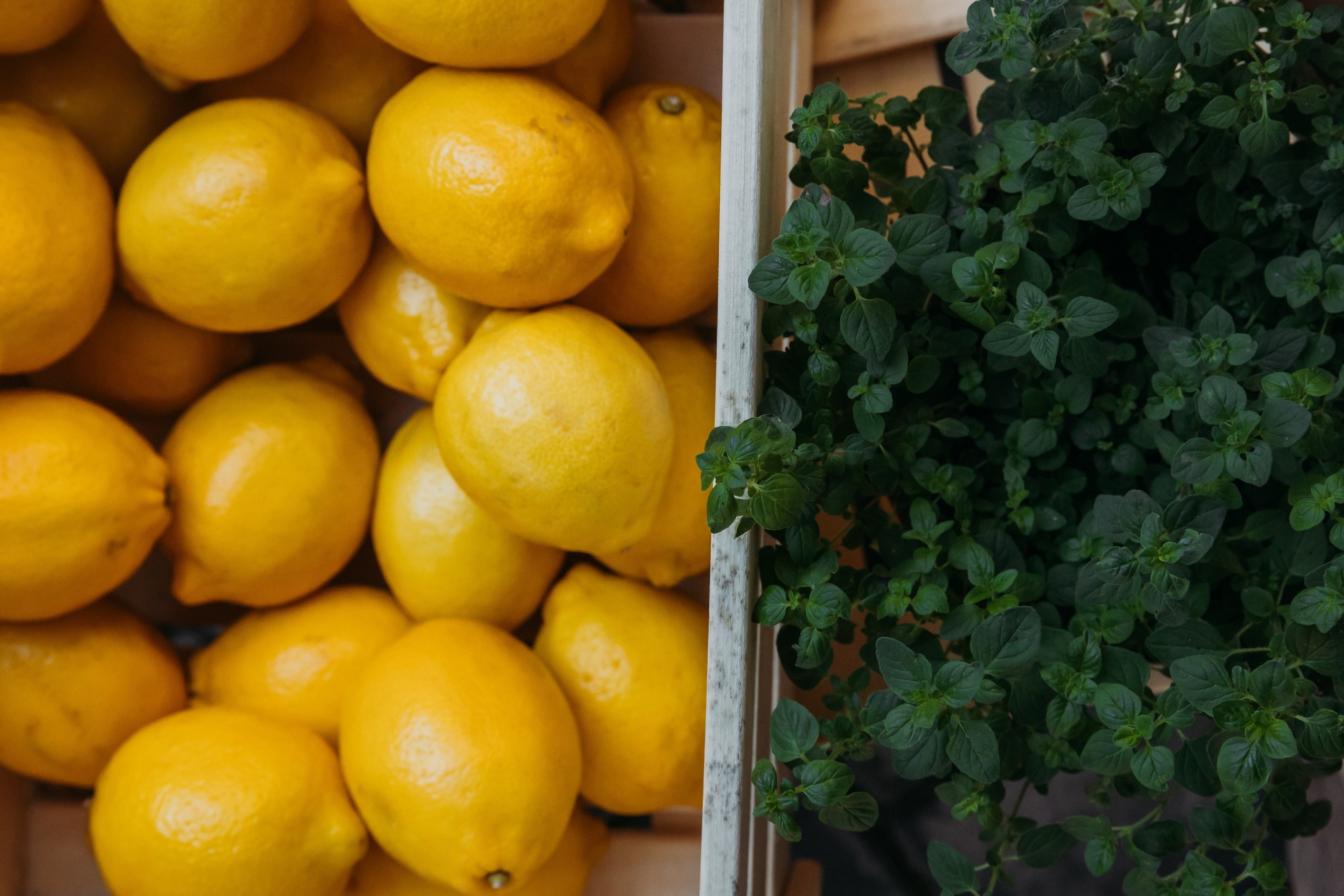 Родные люди «Итальянский день». Леся Гаранина. Семейный фотограф/видеограф Москва и область