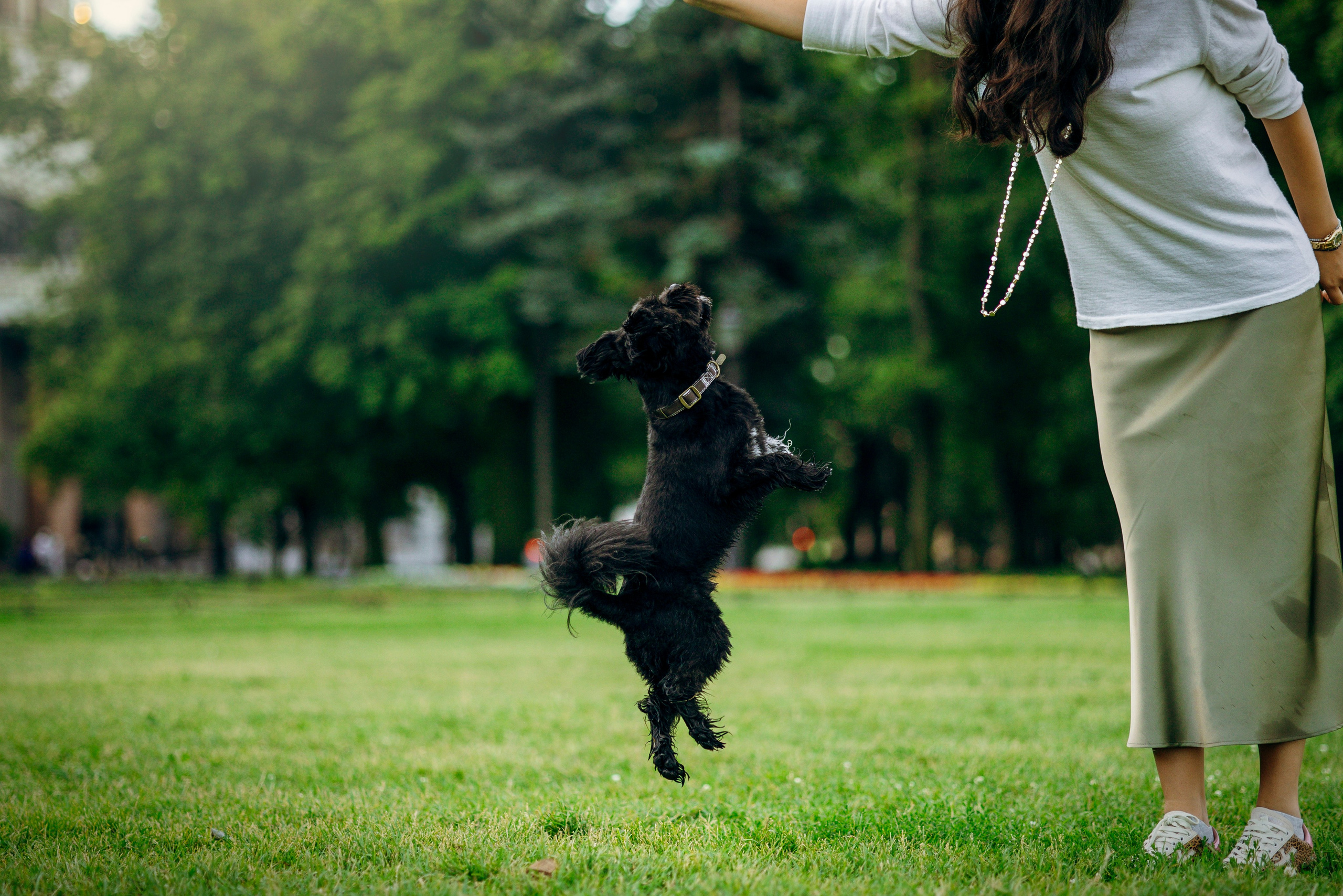 Даша и Борис. Фотограф — Анималист | Санкт-Петербург