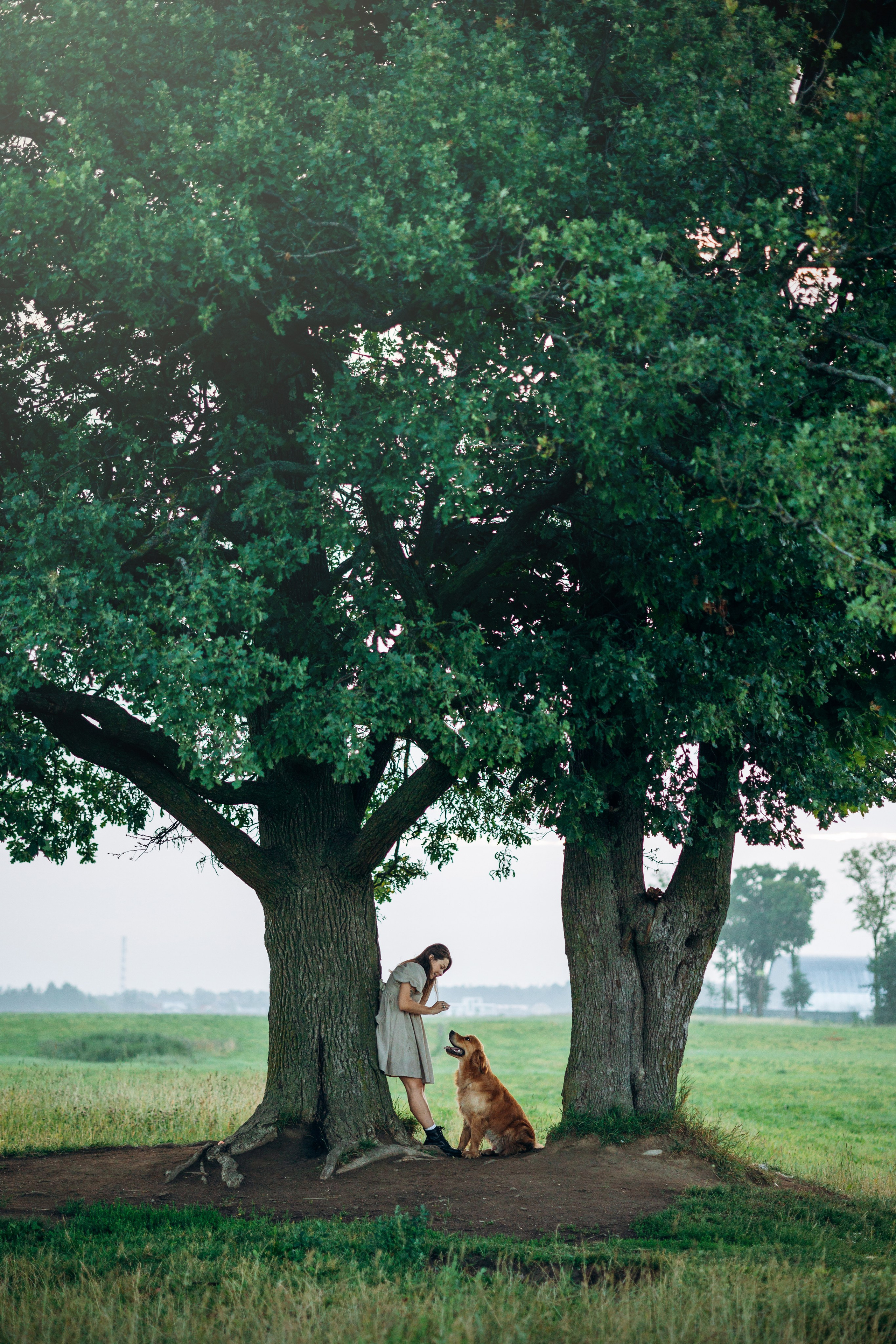 Аня и Ноллан. Фотограф — Анималист | Санкт-Петербург