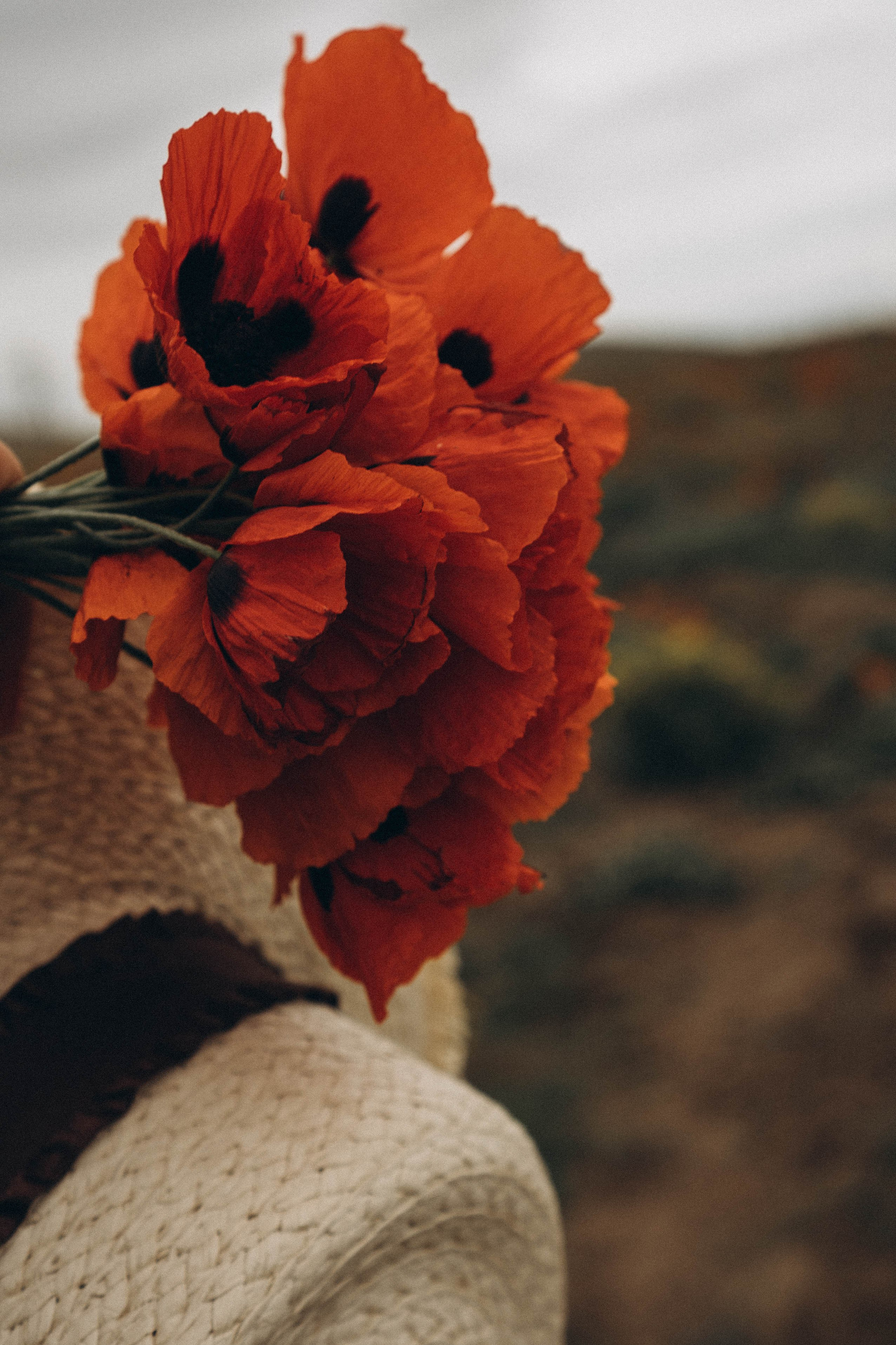 Путешествие в Дагестане. Профессиональный фотограф, Санкт-Петербург — Виктория Богомолова