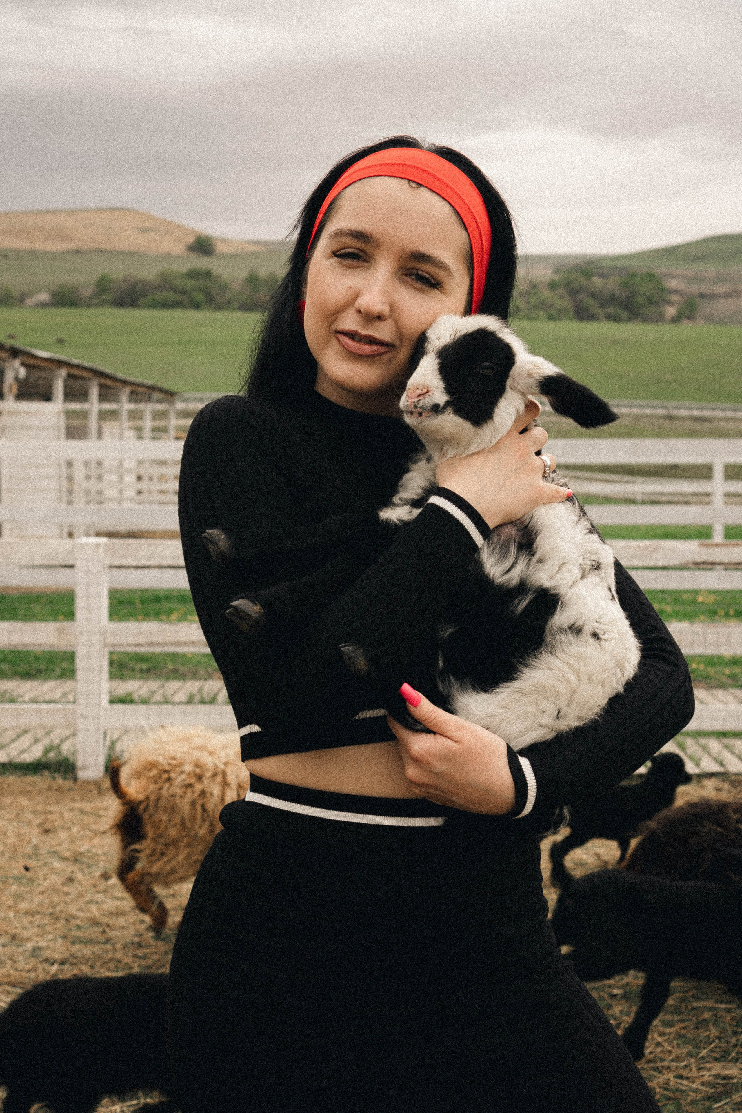 Ферма Альпак. Профессиональный фотограф, Санкт-Петербург — Виктория Богомолова