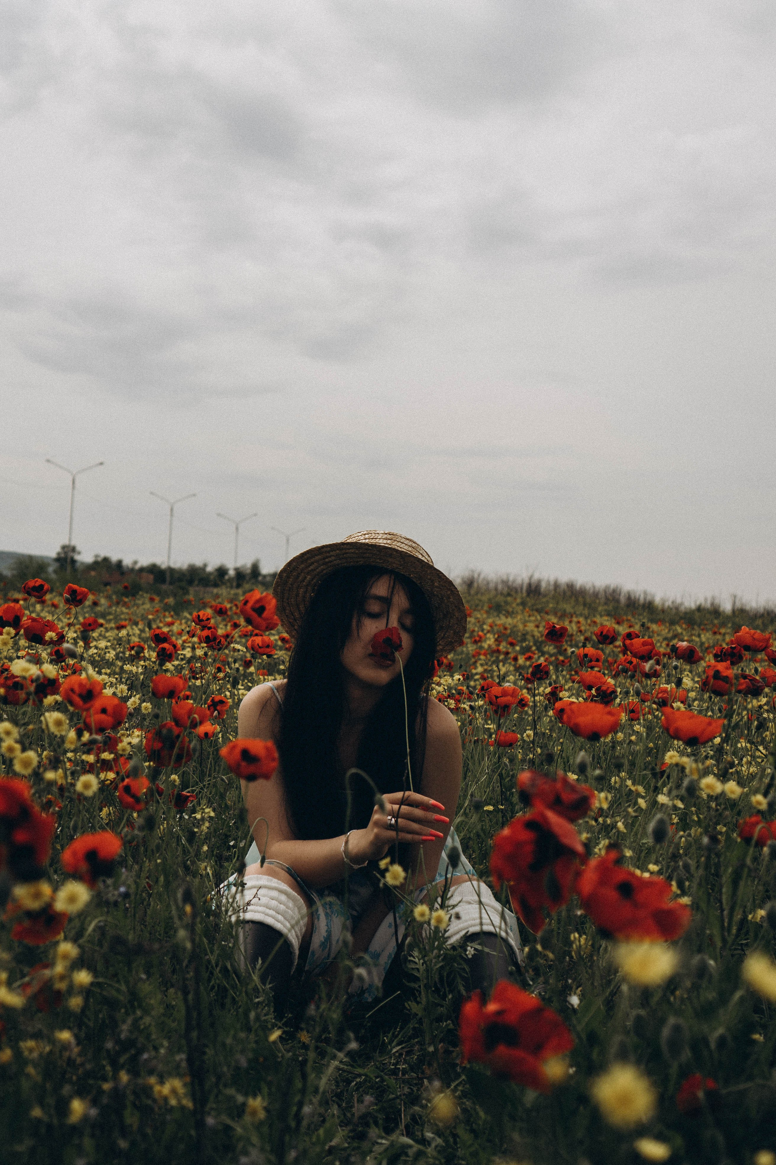 Цветочная поляна. Профессиональный фотограф, Санкт-Петербург — Виктория Богомолова