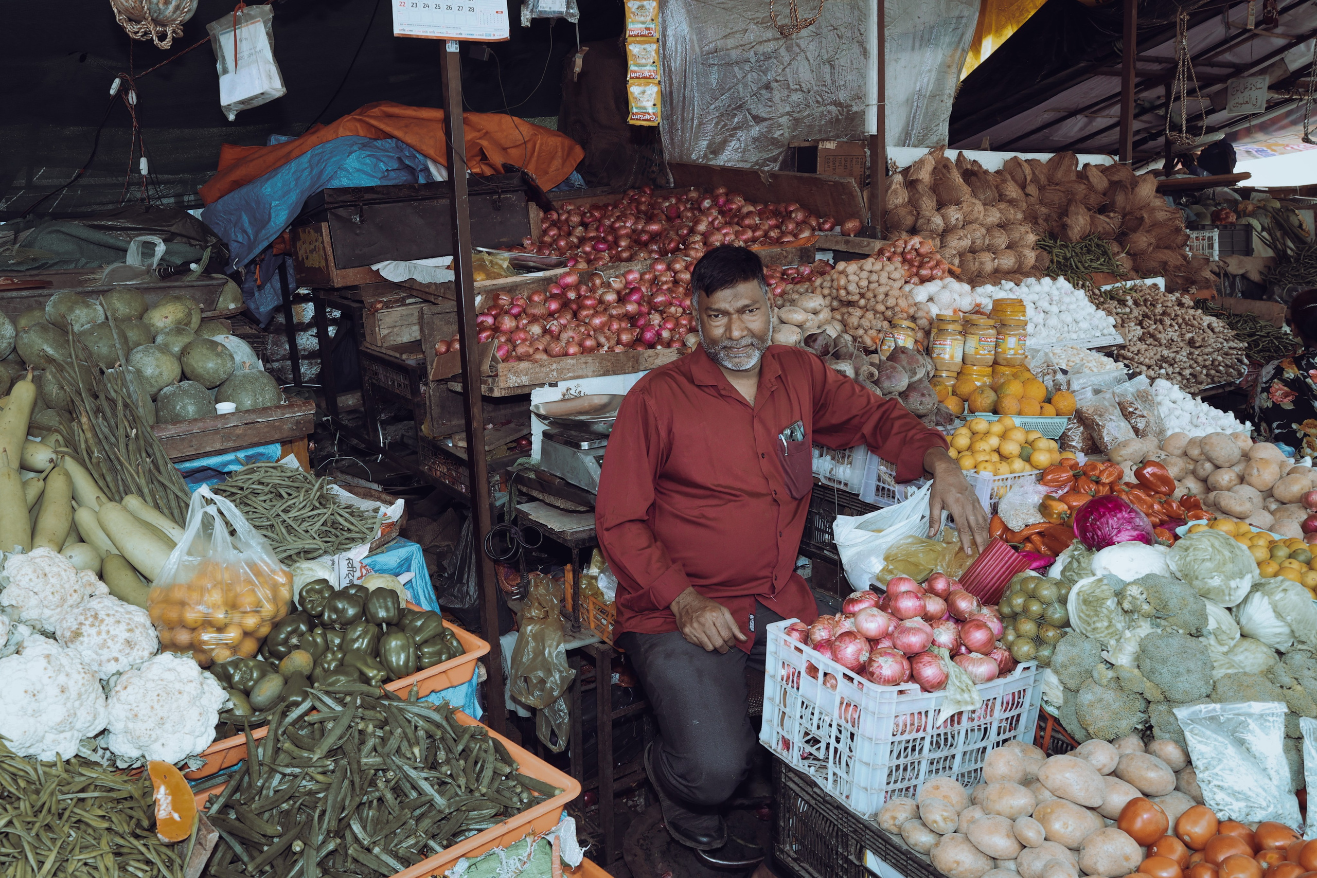 India. Фотограф в Москве