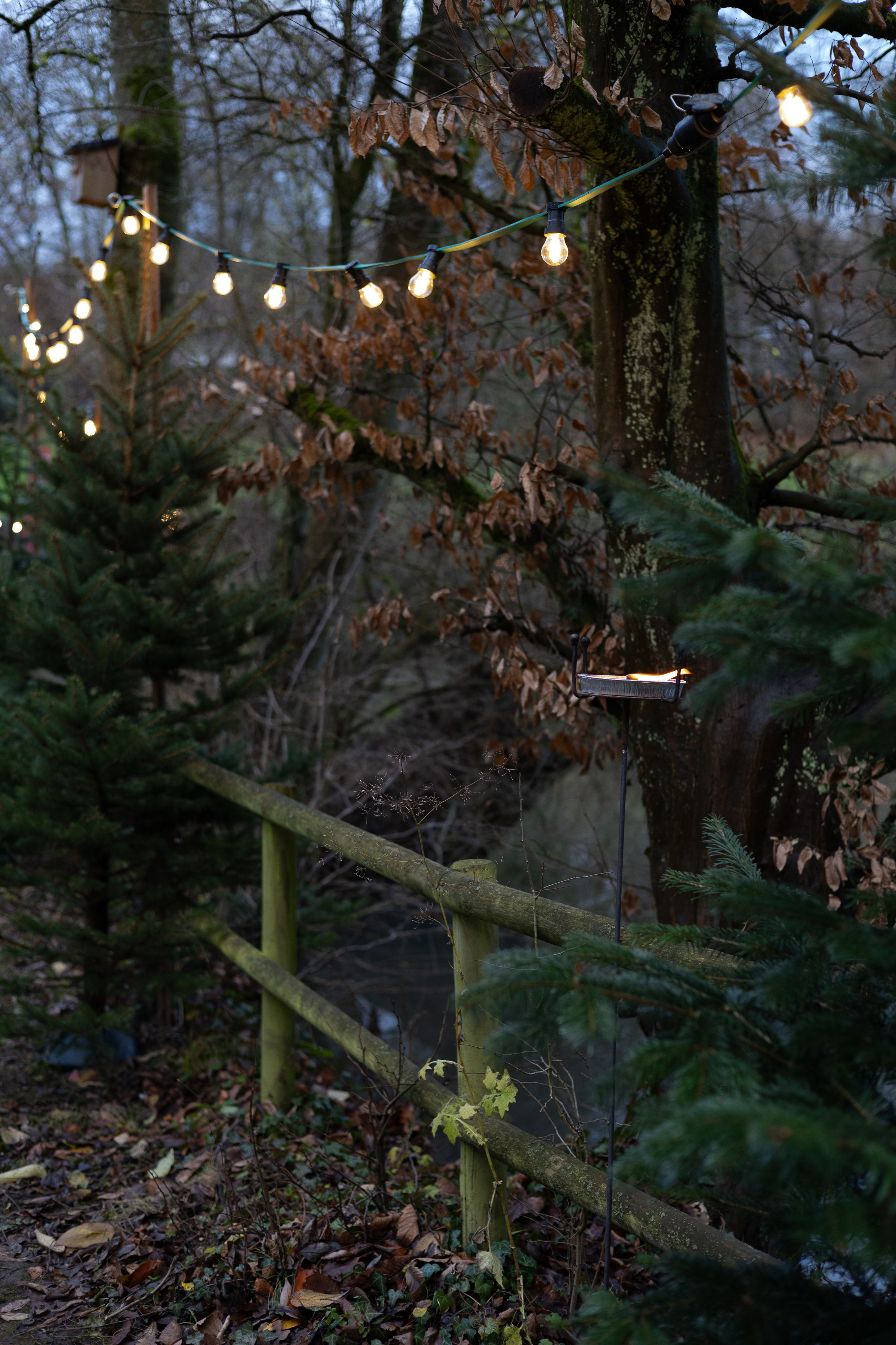 Christmas Fairy Tale. ITMAG.ME | Visual Art