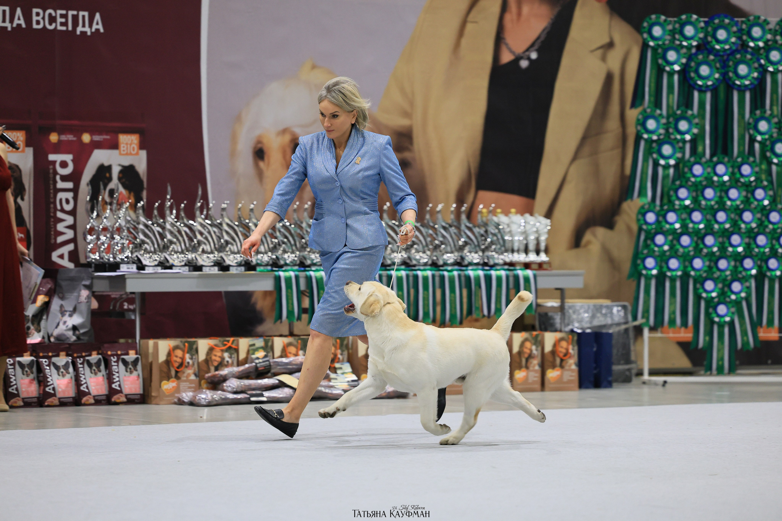28-29.03.2026 Рейтинговая выставка в Новосибирске. Фотограф Анималист из Новосибирска Татьяна Кауфман