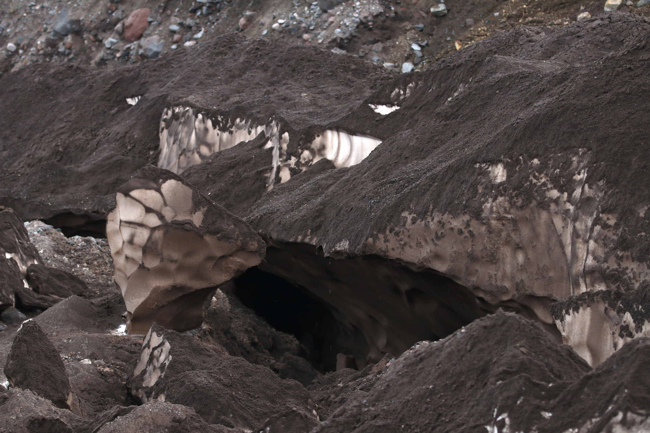 Камчатка и о. Парамушир. Июль 2024. Путешественник-фотограф из Санкт-Петербурга Татьяна Свистулина