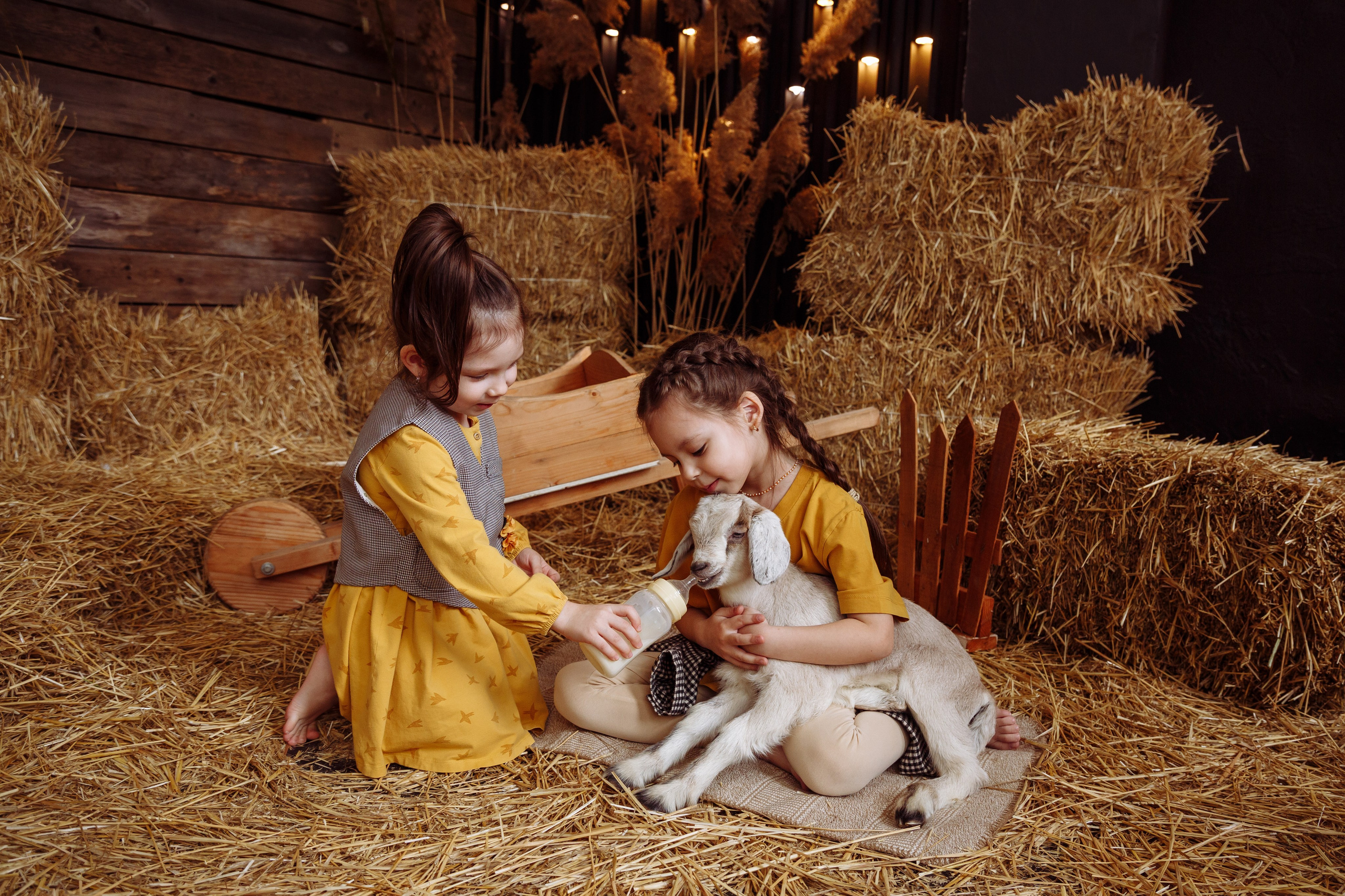 Козлик 2025. Фотограф новорожденных Тверь Диана Муляева