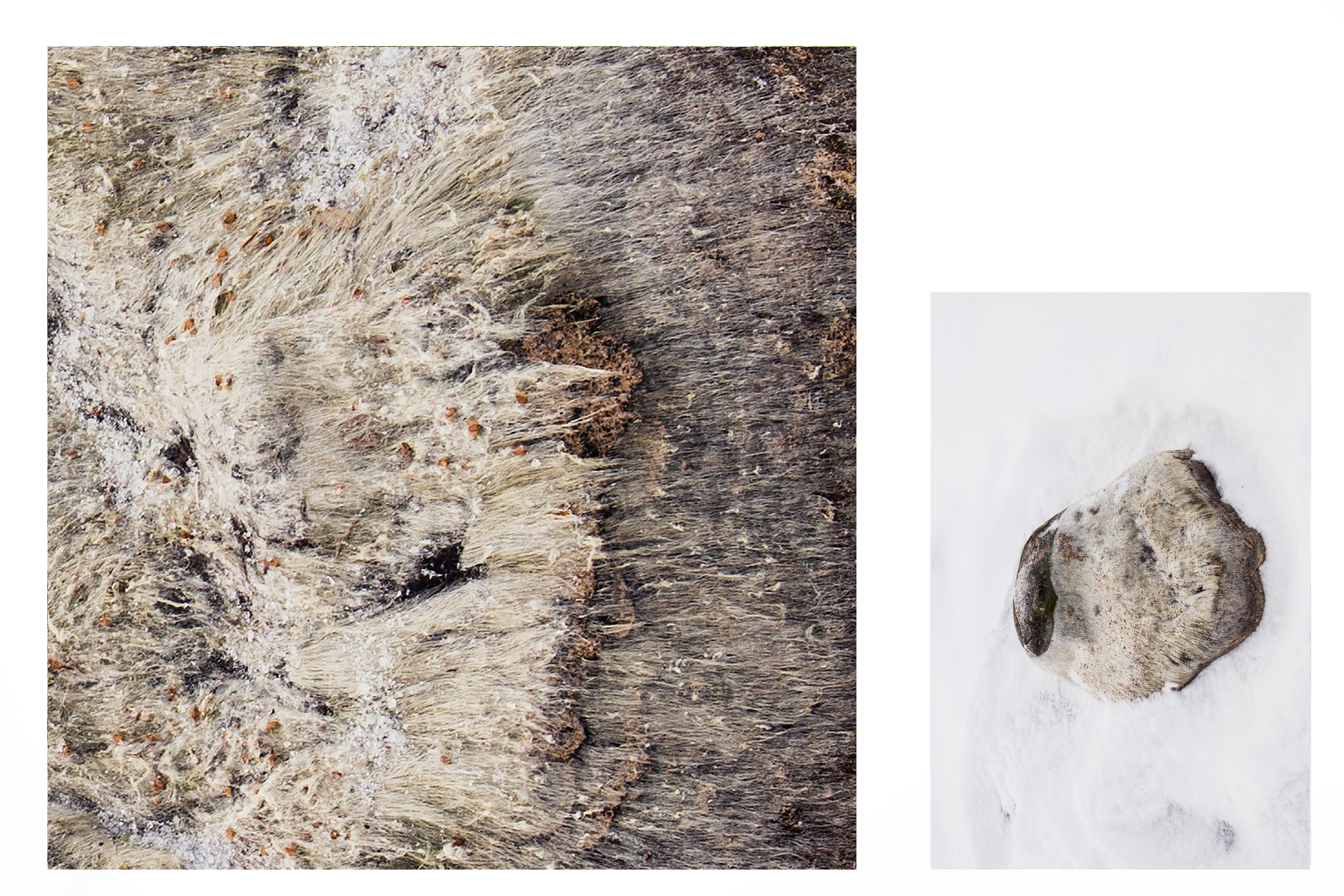 Камни. Портретный фотограф Таня