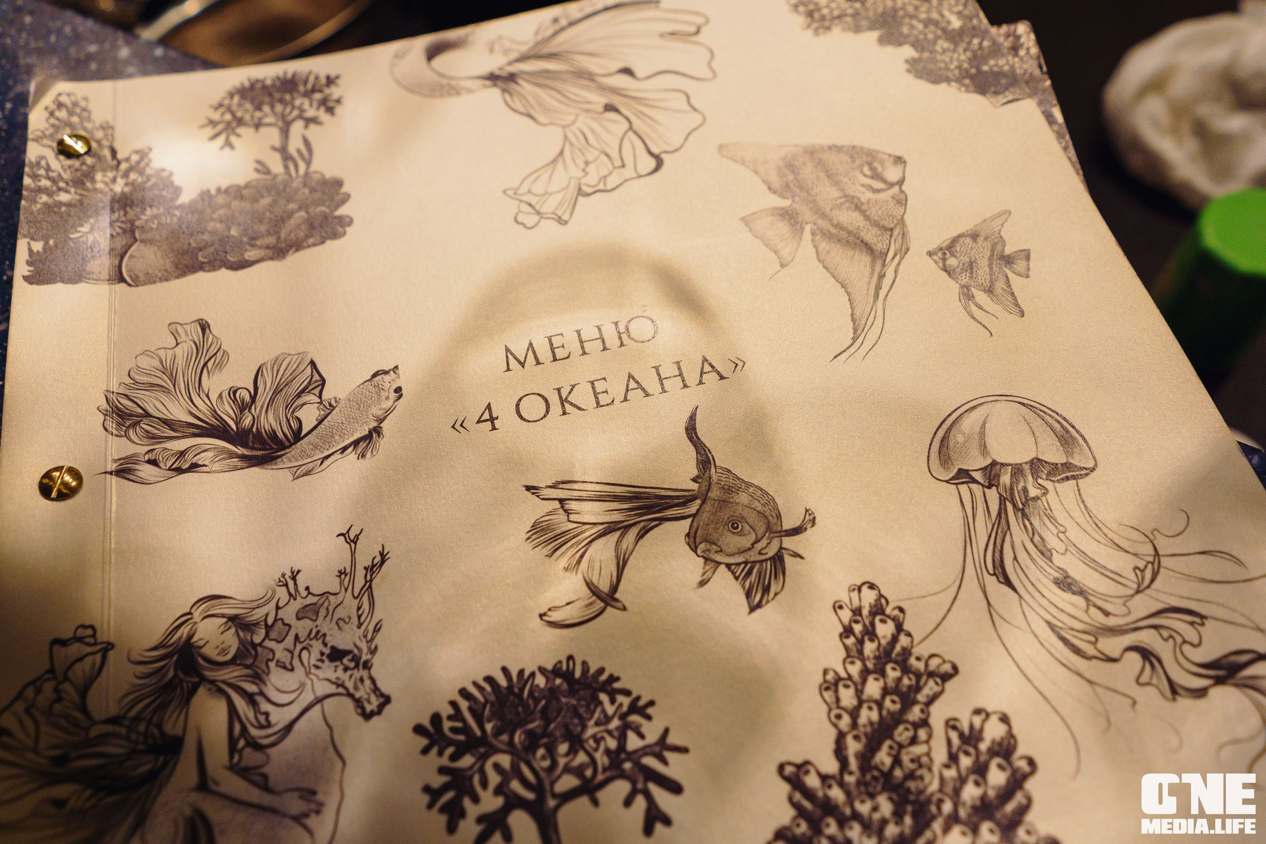 Фоторепортаж из ресторана Океан. One Media Life: фоторепортажи, фотоотчеты с мероприятий и заведений