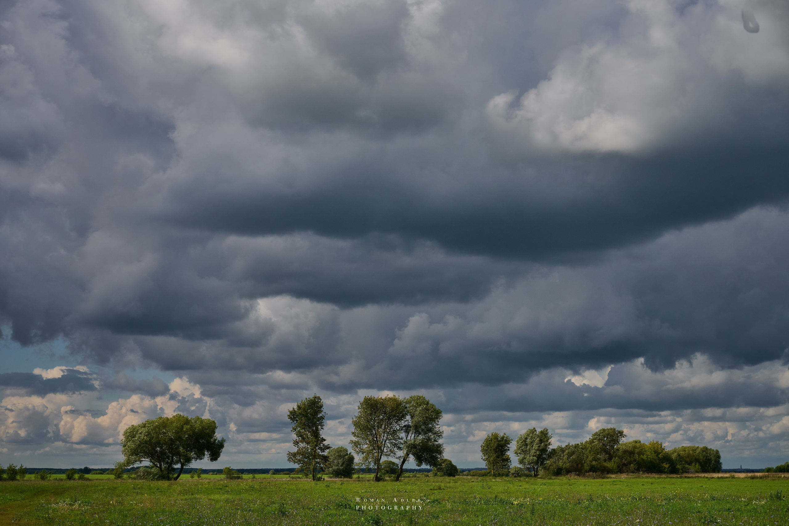 Рязань. Август 2025. Фотограф Роман Адлер