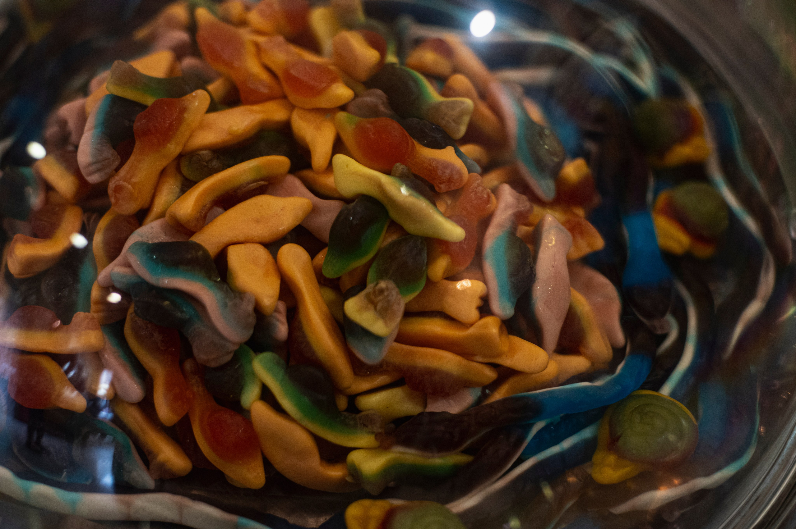 Казань. Сентябрь 2022. Фотограф Роман Адлер