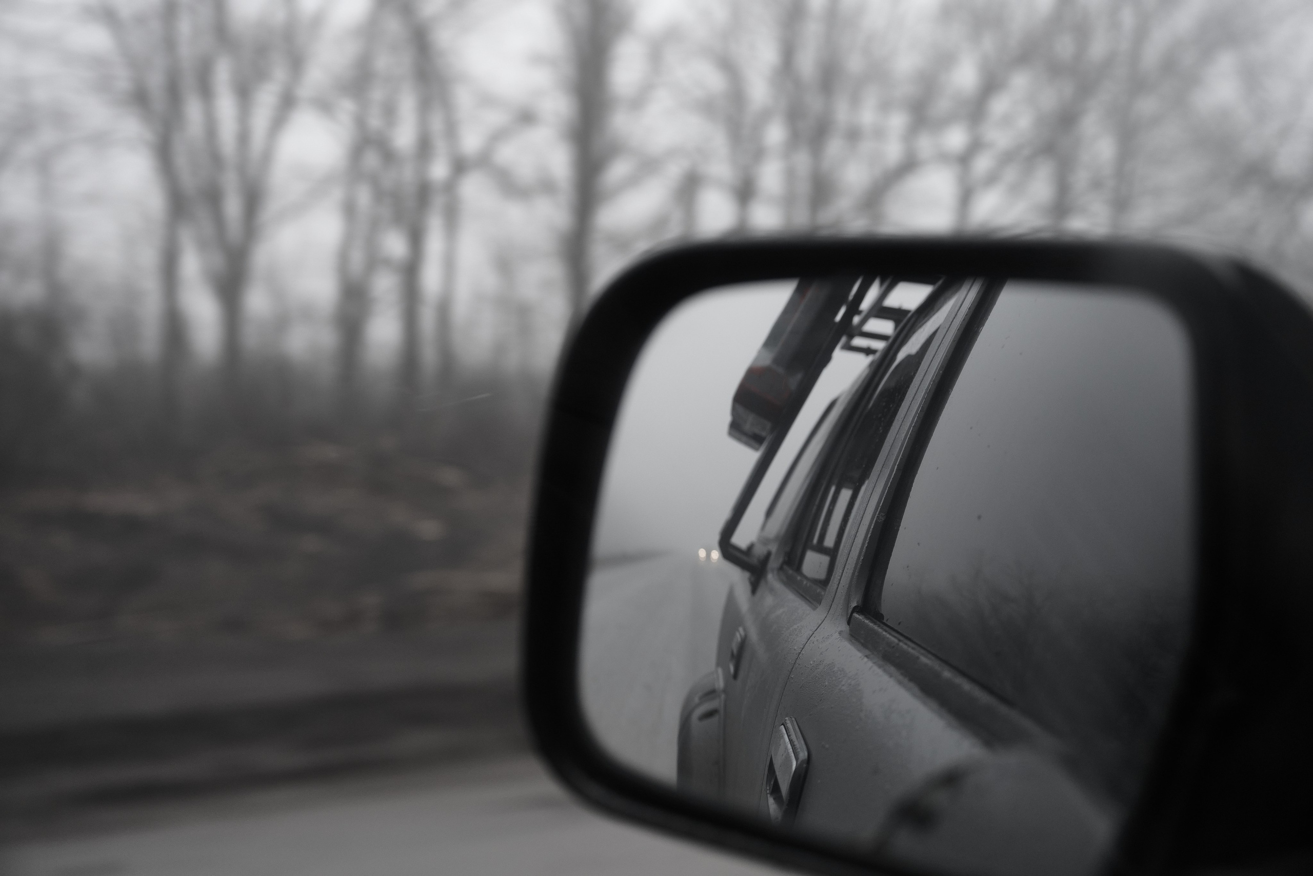 Дорога домой. Туман. Фотограф Роман Адлер