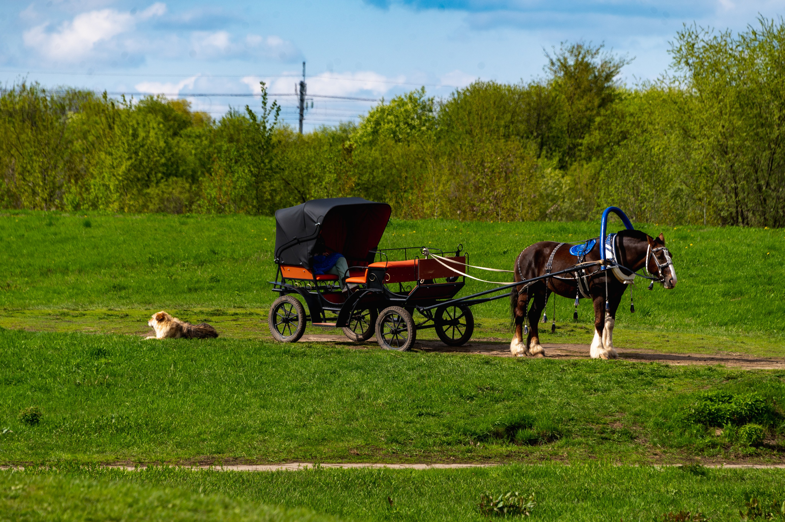 Храм на Нерли. Фотограф Роман Адлер