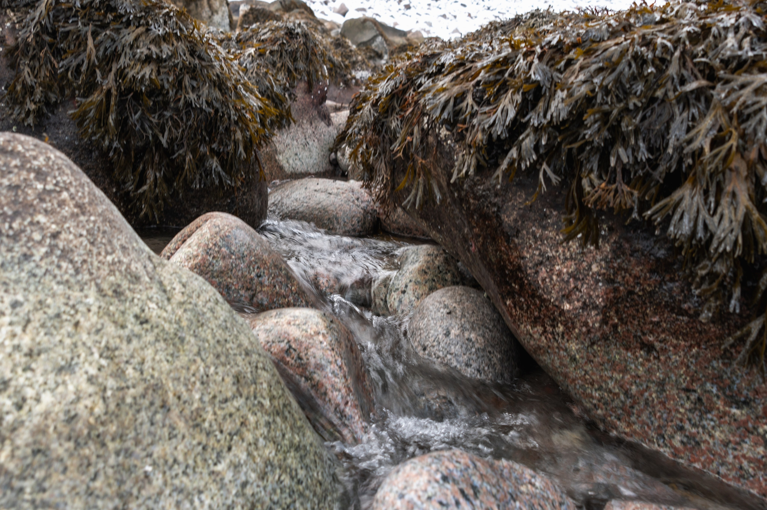 Териберка. Ноябрь 2023. Фотограф Роман Адлер