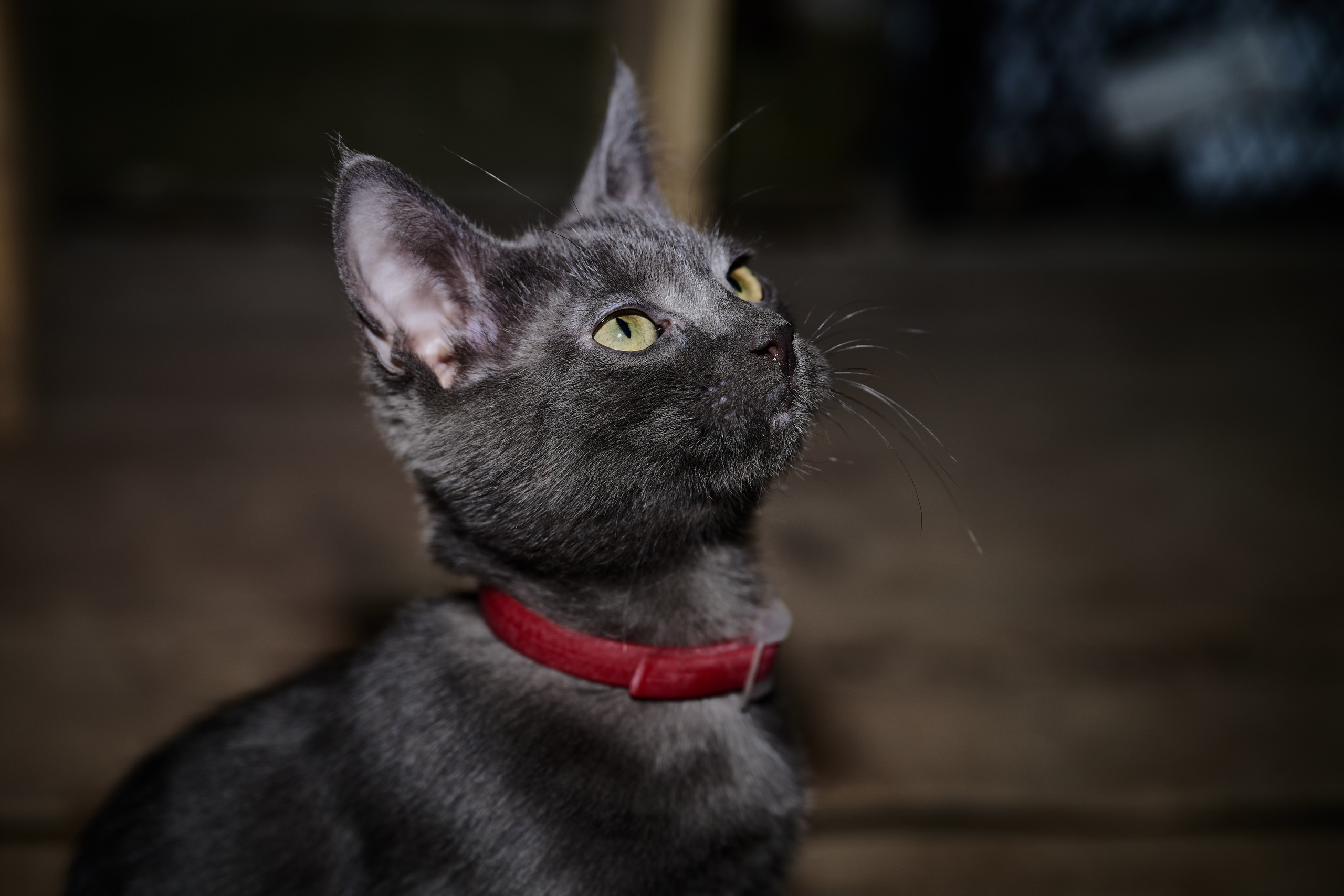 Будни съёмок фотопроекта Территории. Фотограф Роман Адлер