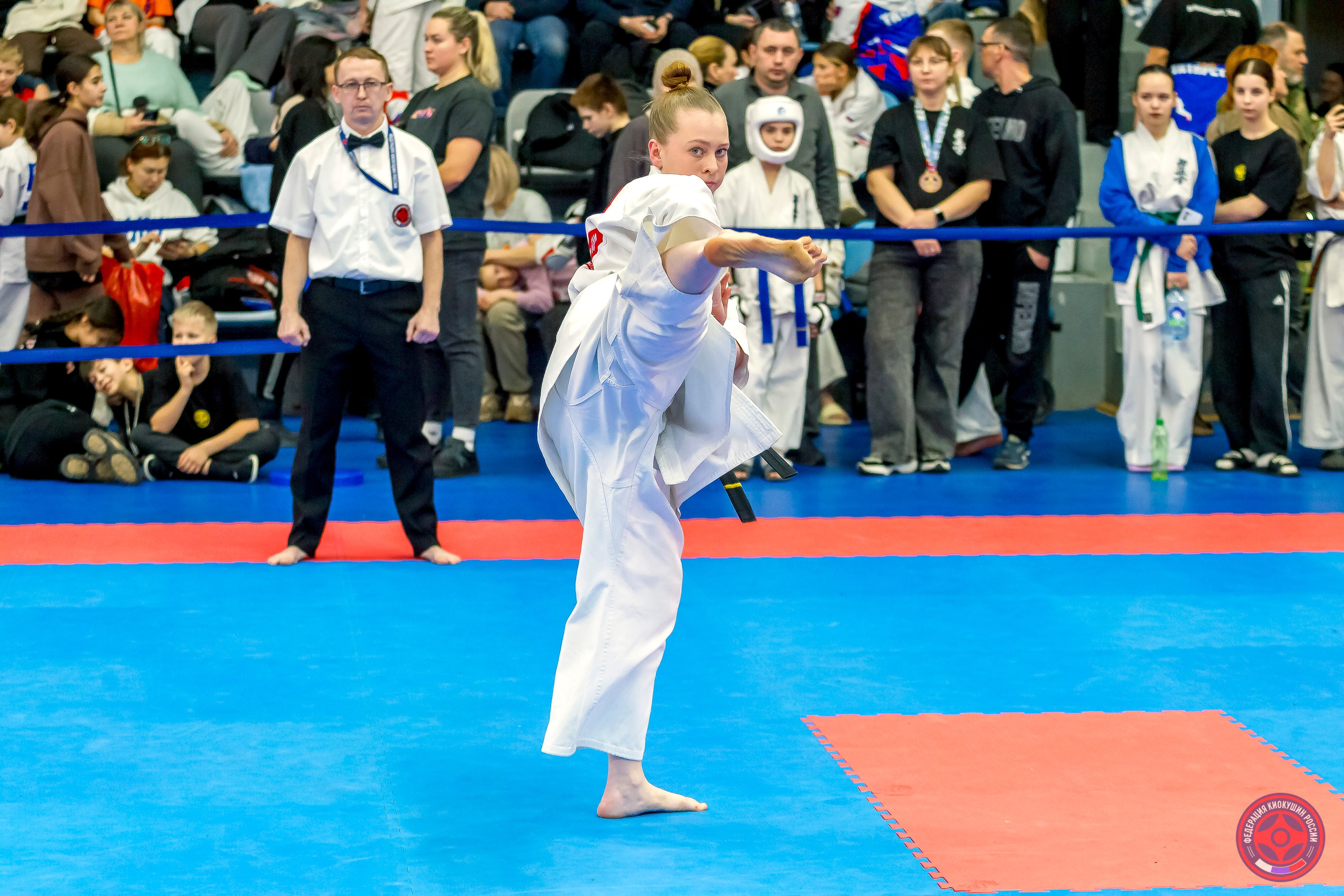 Международный турнир по киокушин «Открытый кубок Seiken». Репортажная съемка в Москве и области. Анималистика