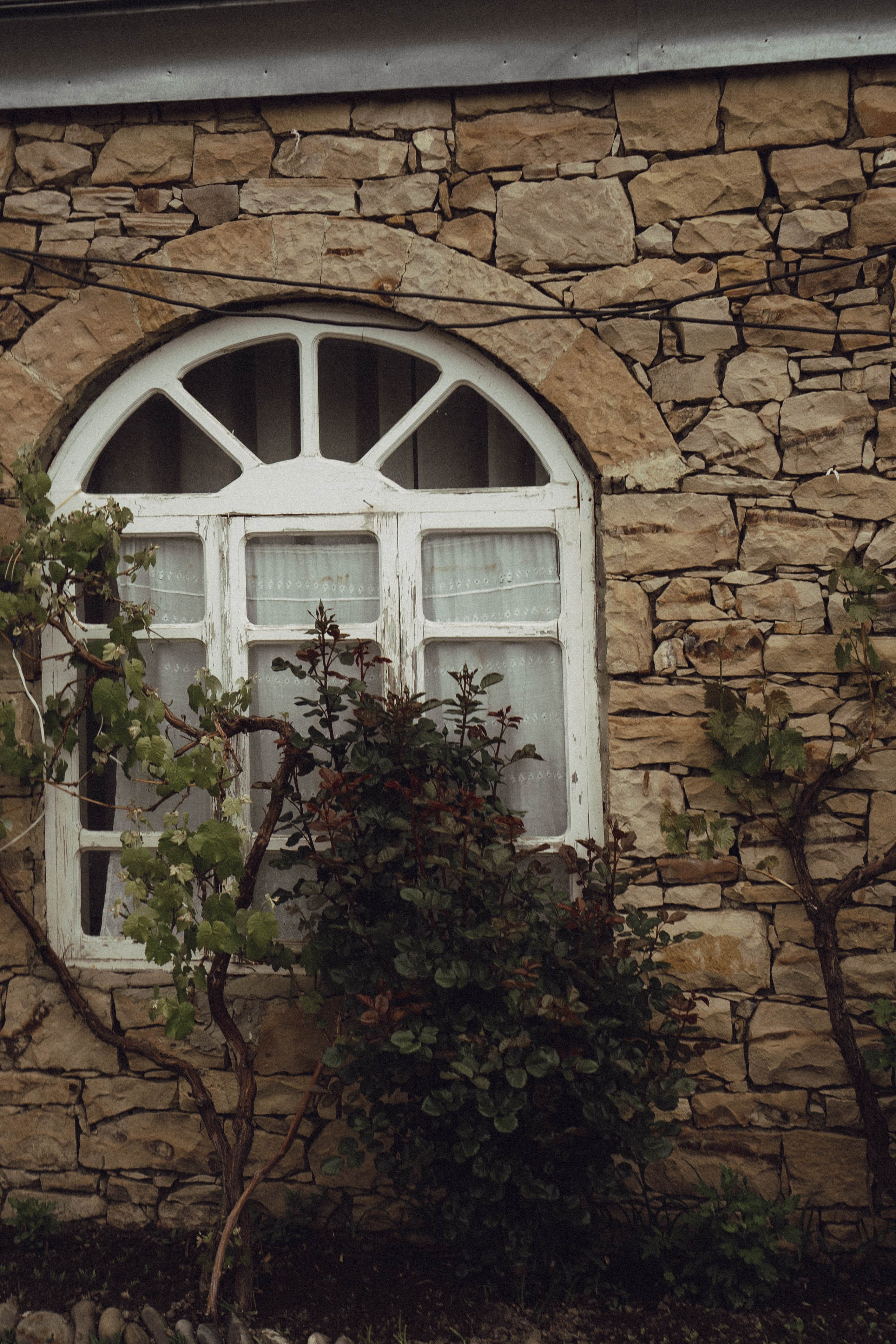 Кавказ. Профессиональный фотограф, Санкт-Петербург — Виктория Богомолова