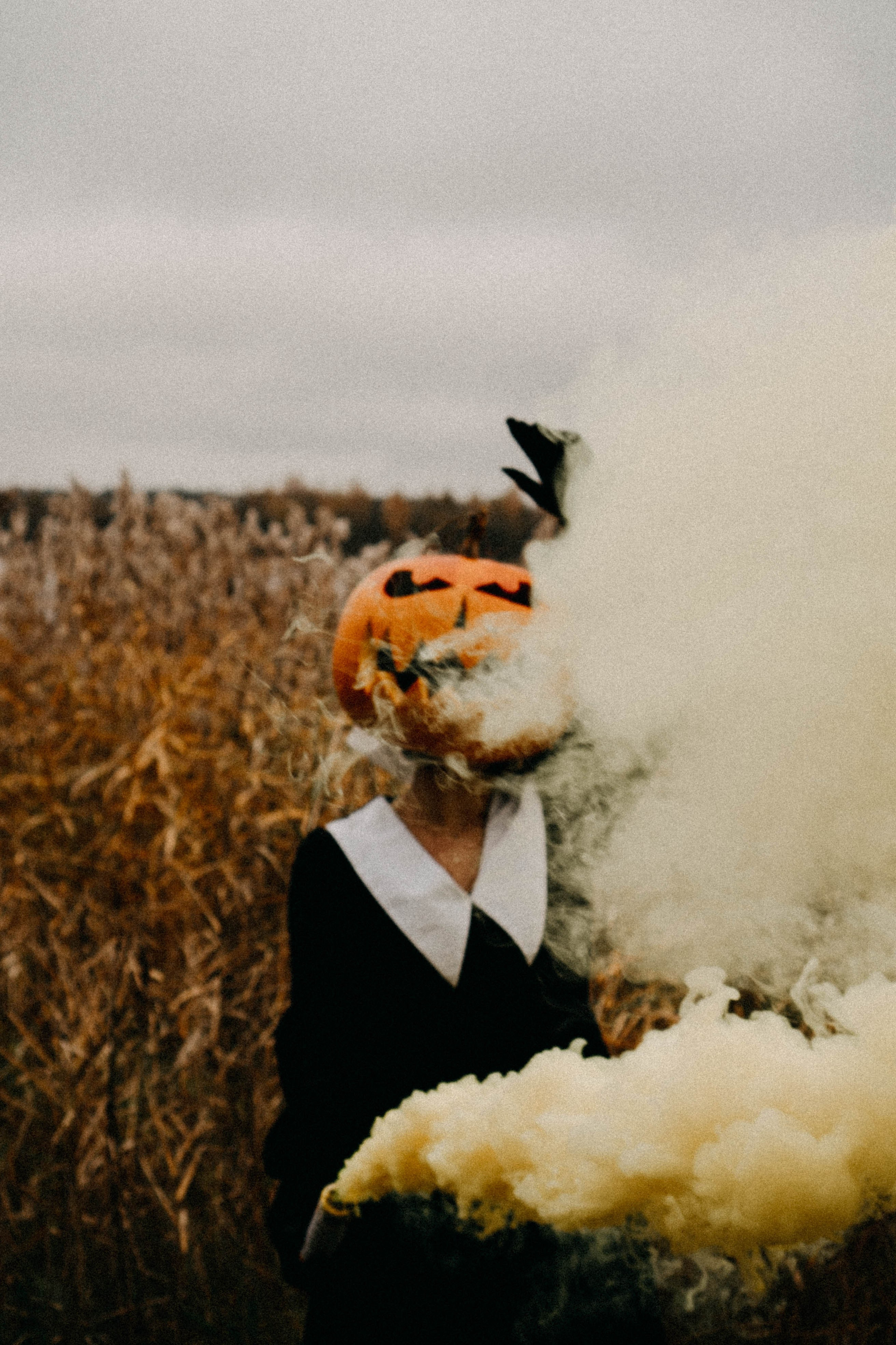 Осеняя. Профессиональный фотограф, Санкт-Петербург — Виктория Богомолова