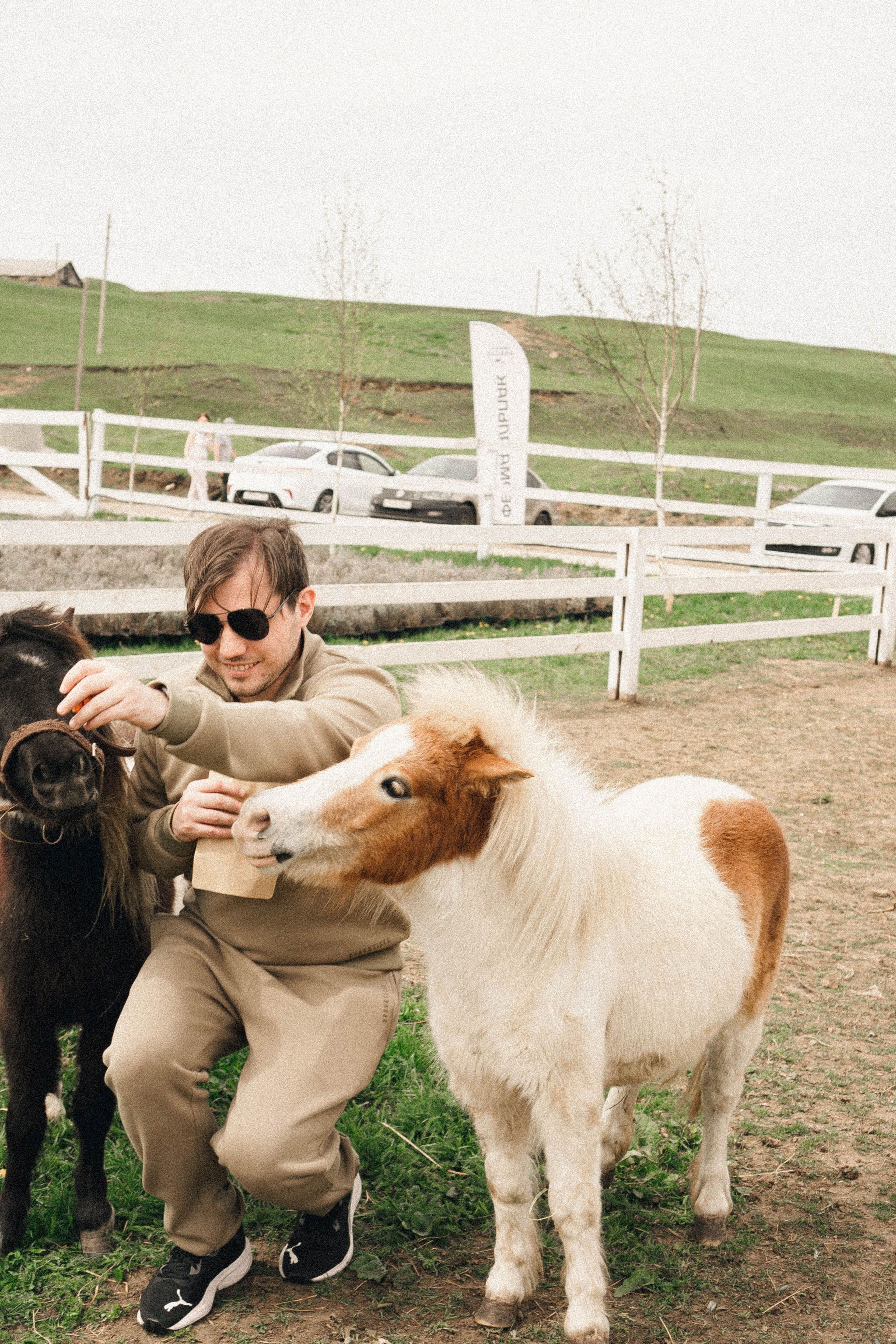 Ферма Альпак. Профессиональный фотограф, Санкт-Петербург — Виктория Богомолова