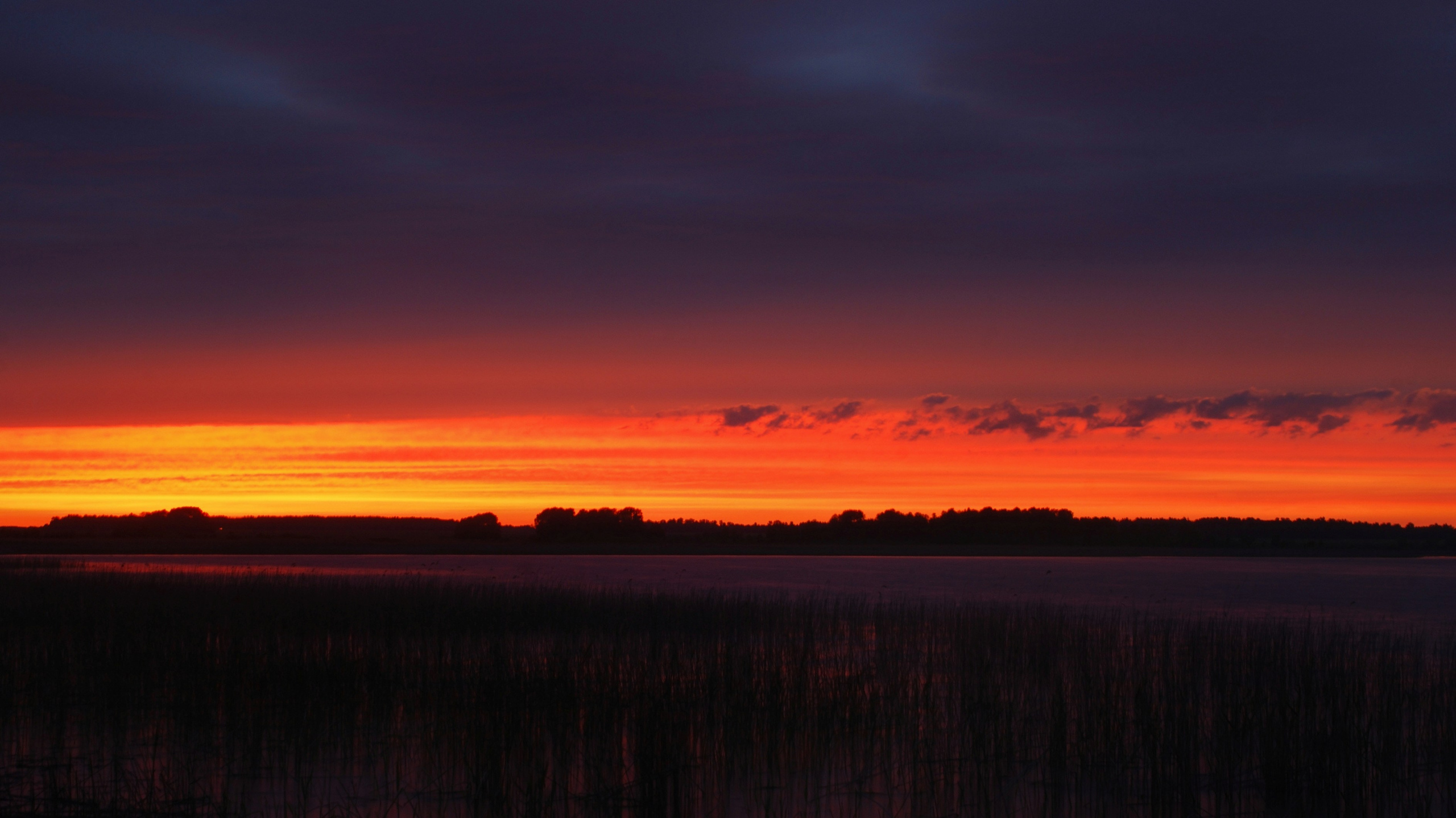 Этот прекрасный мир