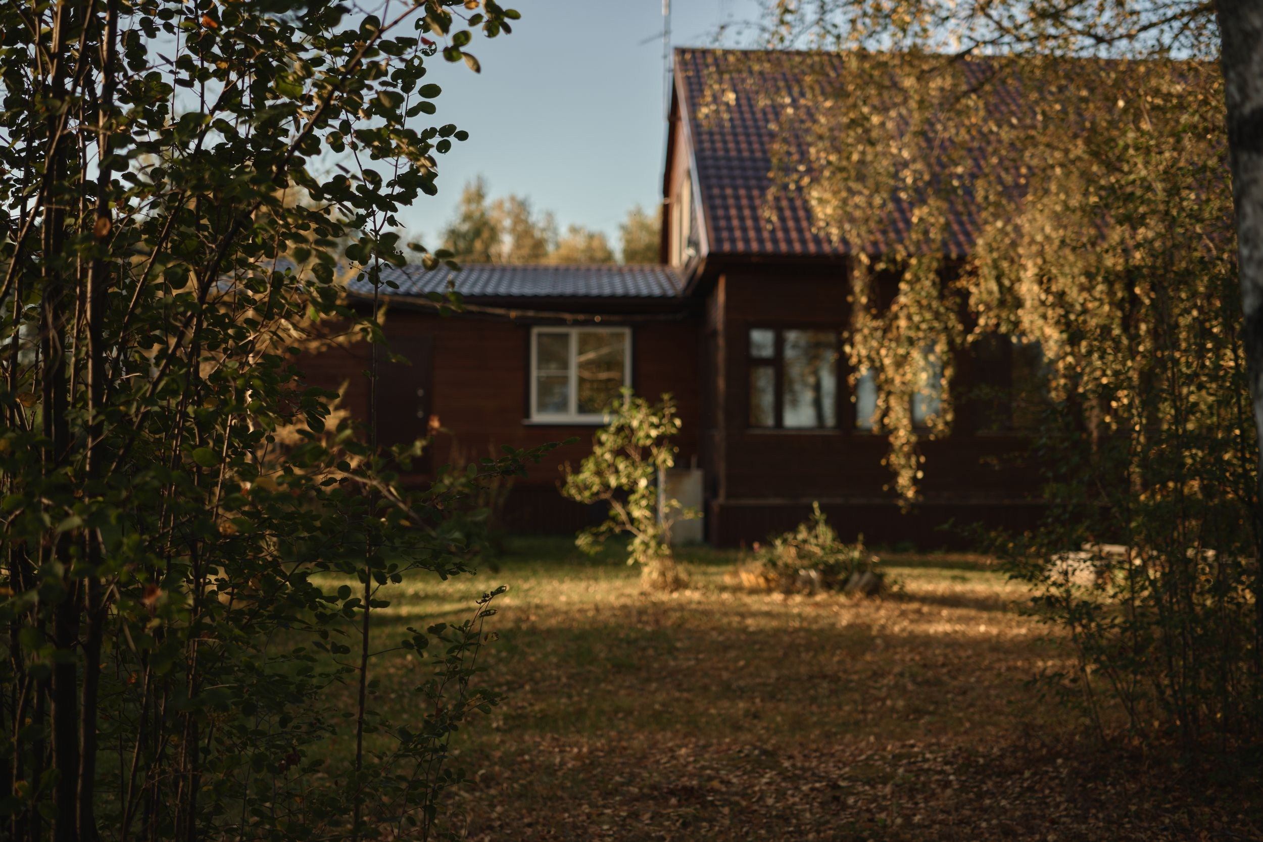 Семейная стрижка газона. Фотограф Женя Пашкина