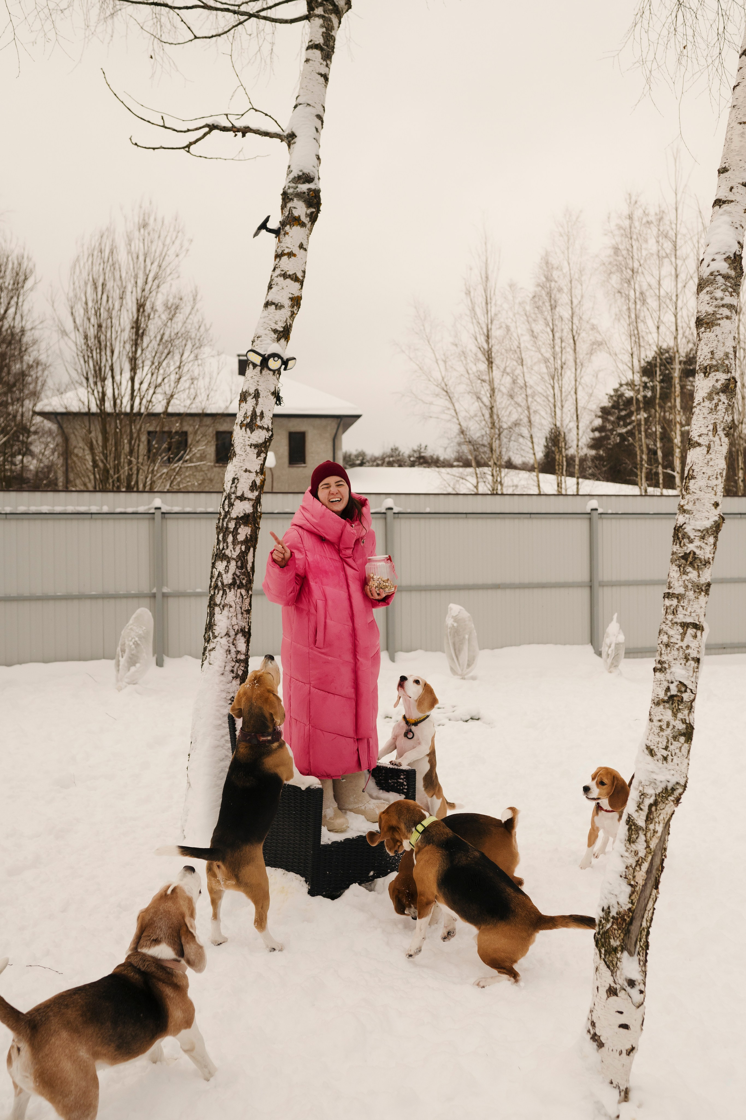 Зоогостиница Мишка. Фотограф- анималист Александра Матвеева