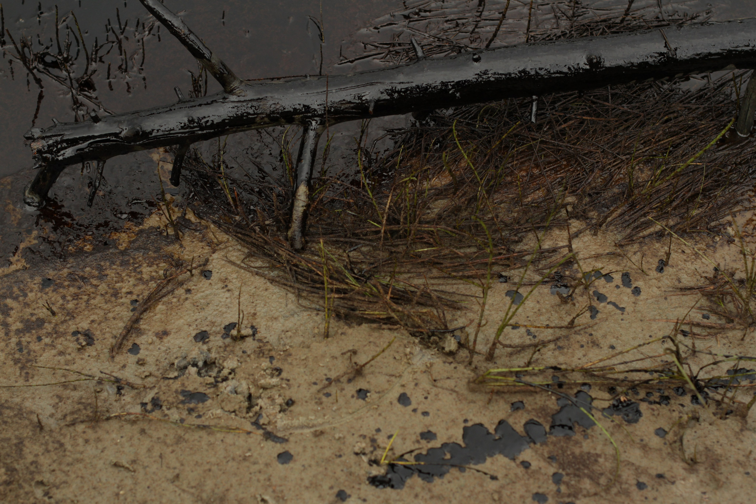 The last protector of Imlor lake. Documentary photographer, film maker and storyteller