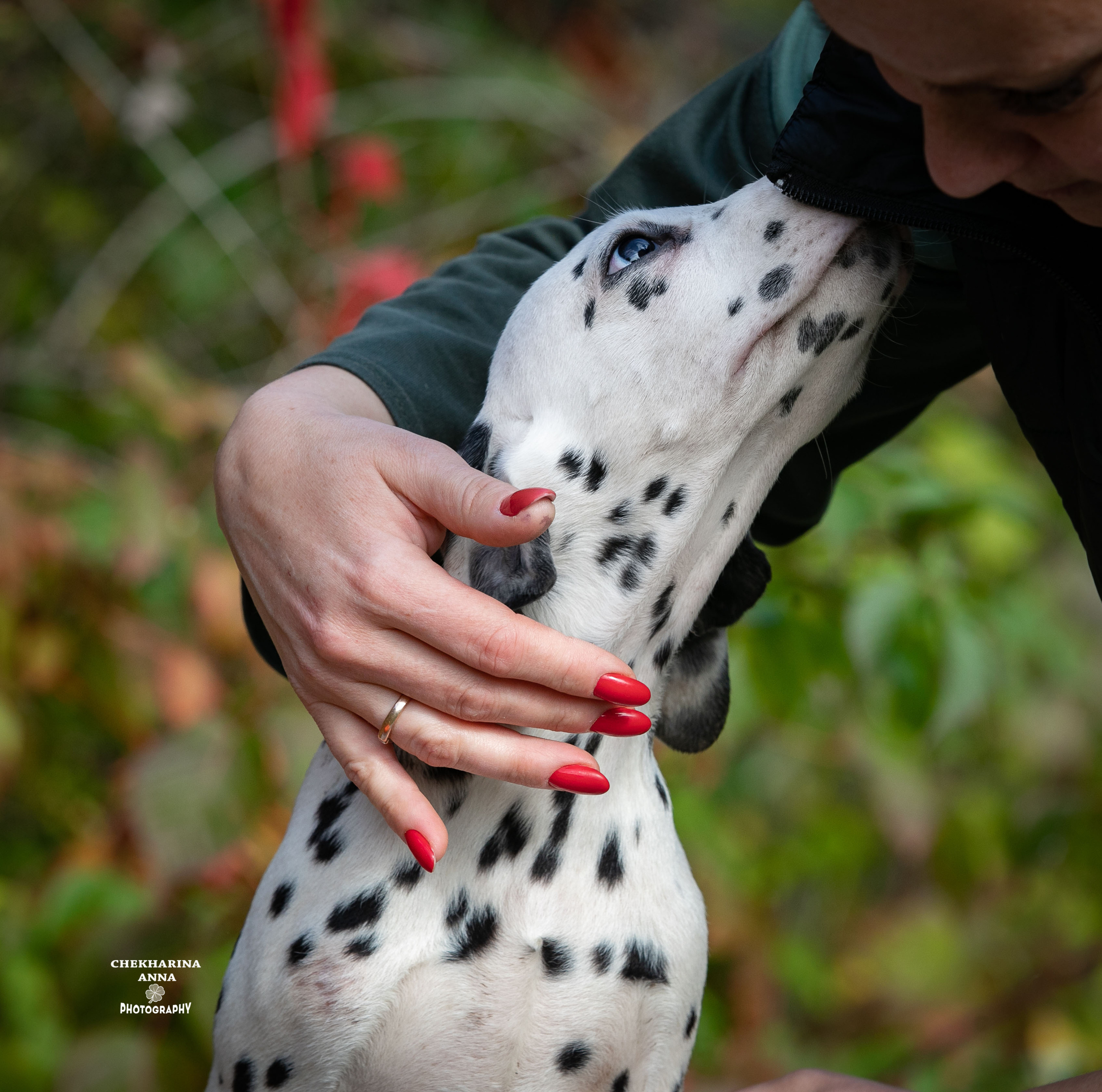 Леон Из Пятнистого Мира Джеррики. Профессиональный фотограф Чехарина Анна / pro photographer Chekharina