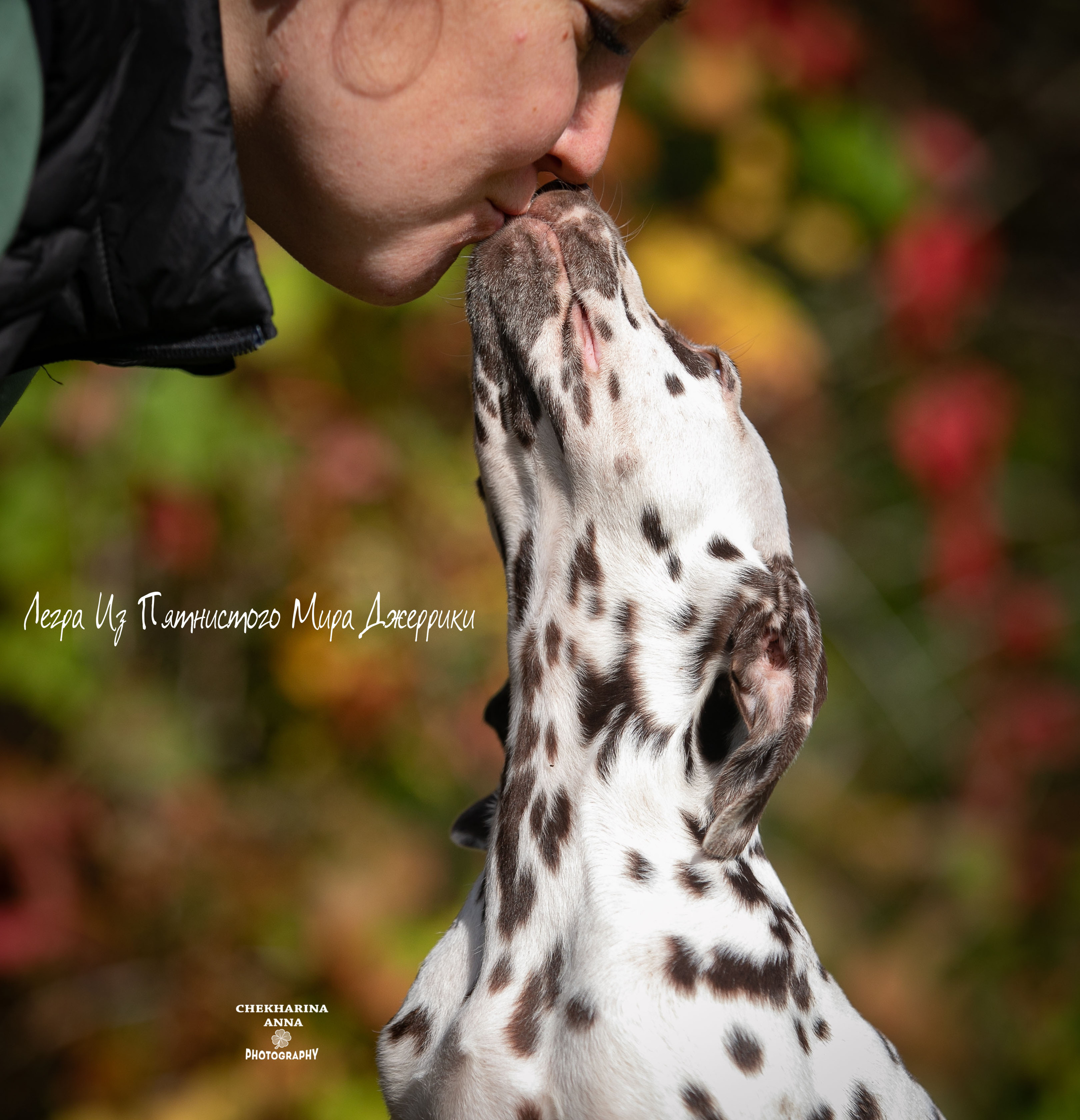 Легра. Профессиональный фотограф Чехарина Анна / pro photographer Chekharina