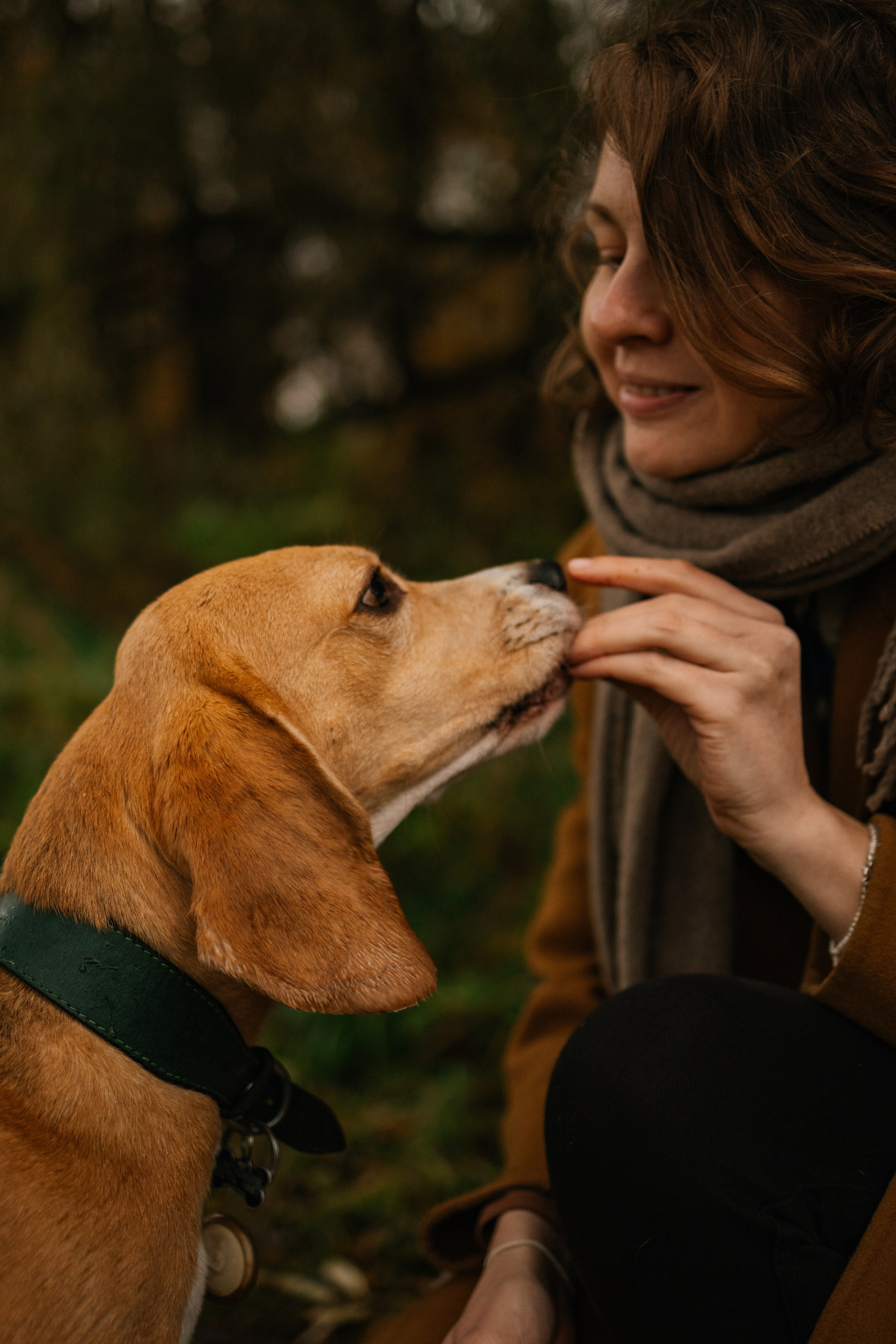 Лена и Тайгер. Фотограф — Анималист | Санкт-Петербург