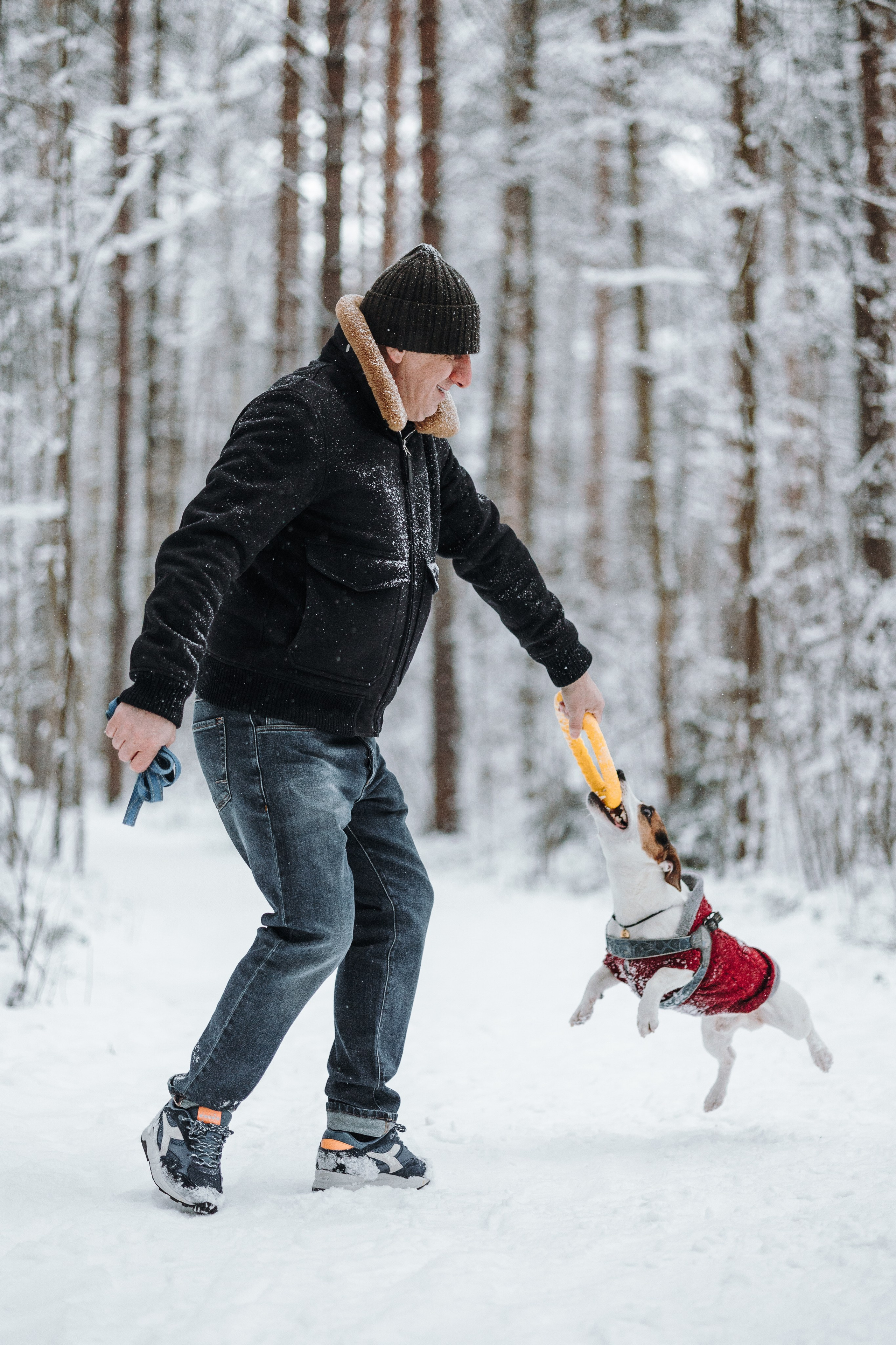 Мики и его семья. Фотограф — Анималист | Санкт-Петербург