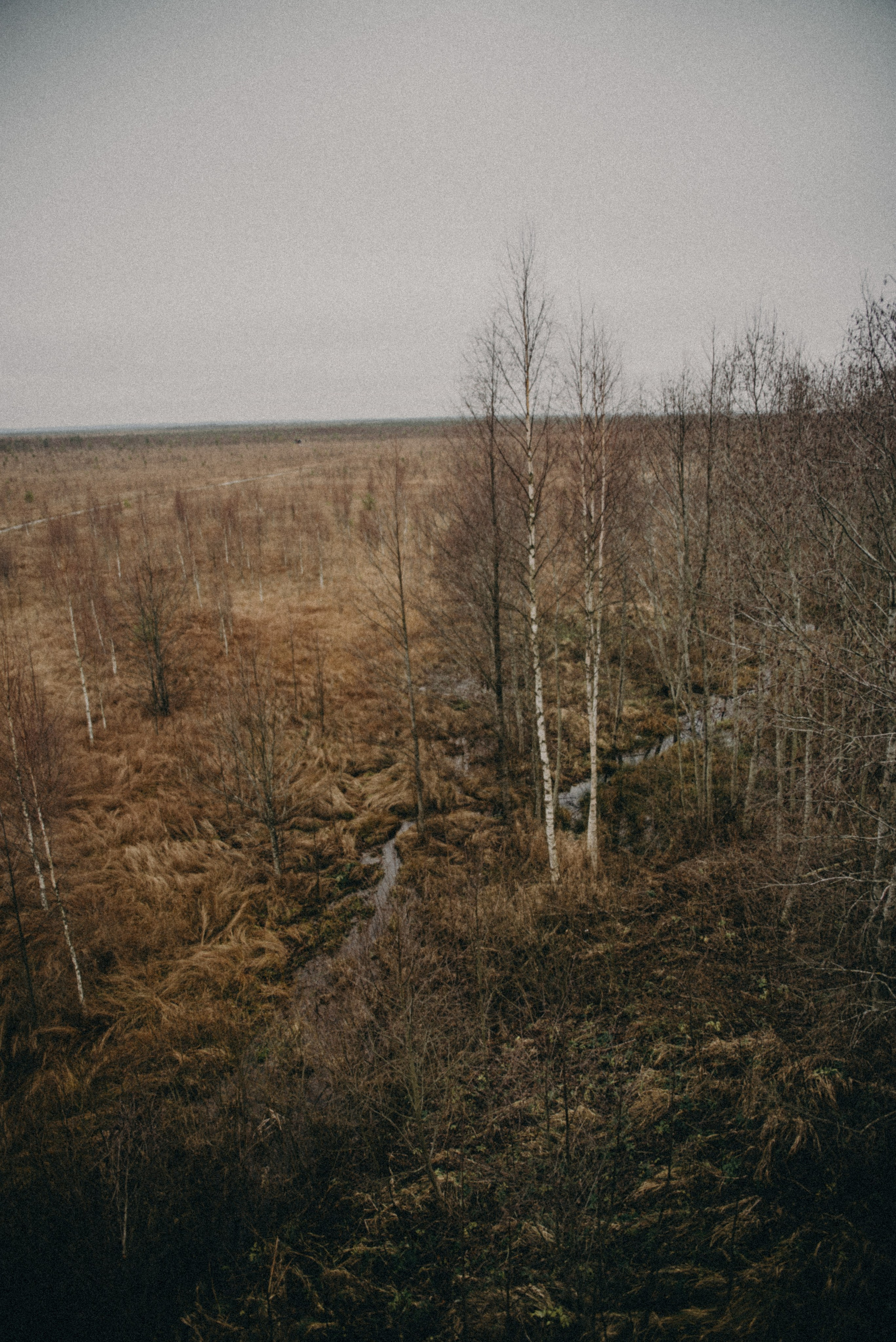 Ельня, Беларусь. Anita_photo