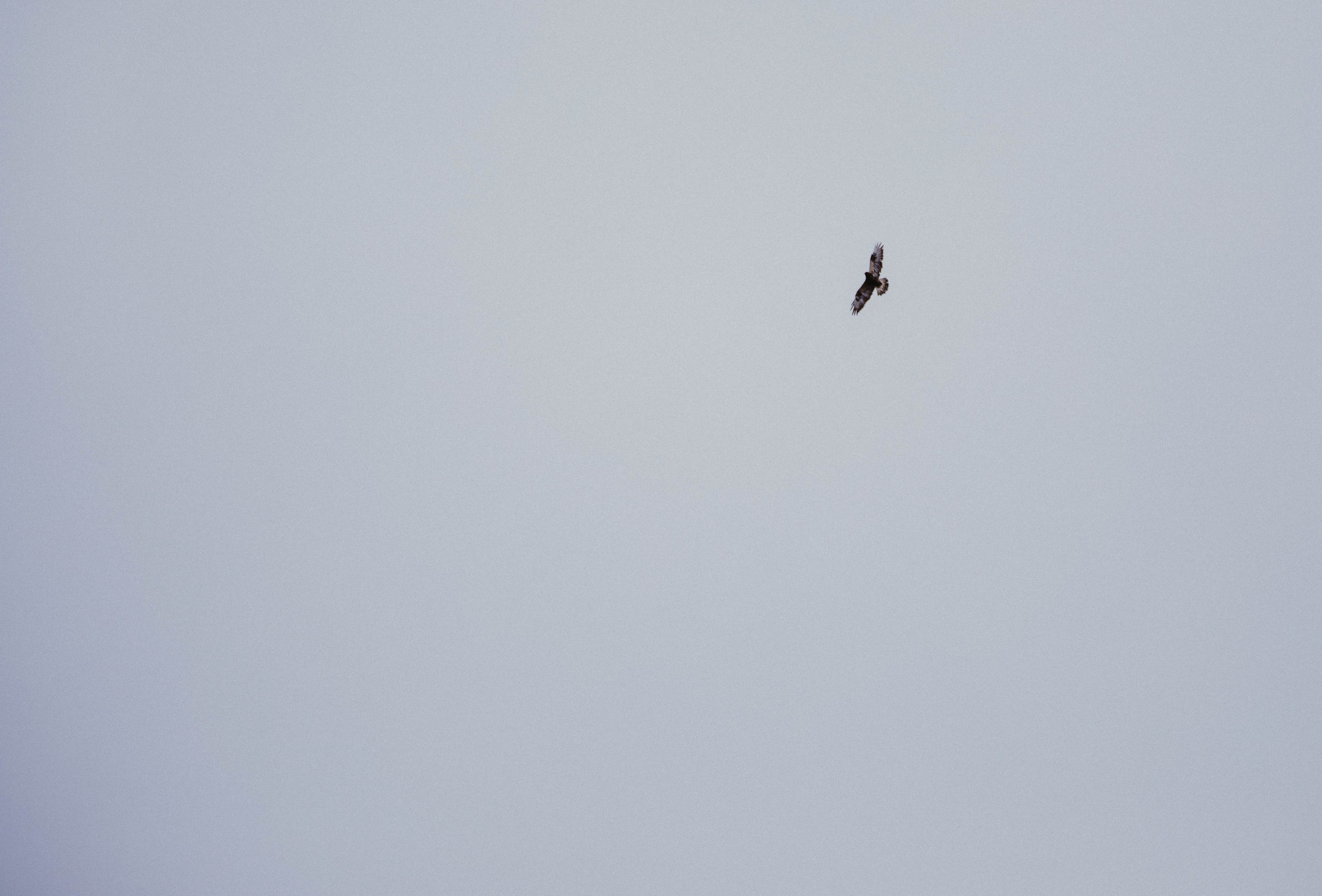 Кольский полуостров. Фотографирую для себя, своей семьи и друзей!