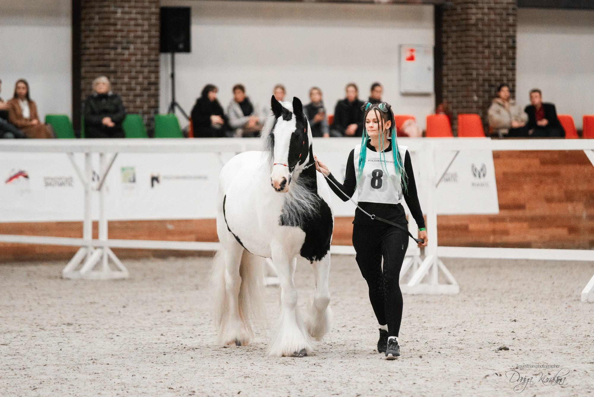 8-я международная выставка Конная Россия. Конный фотограф Куракина Дарья • Фотосессии с лошадьми