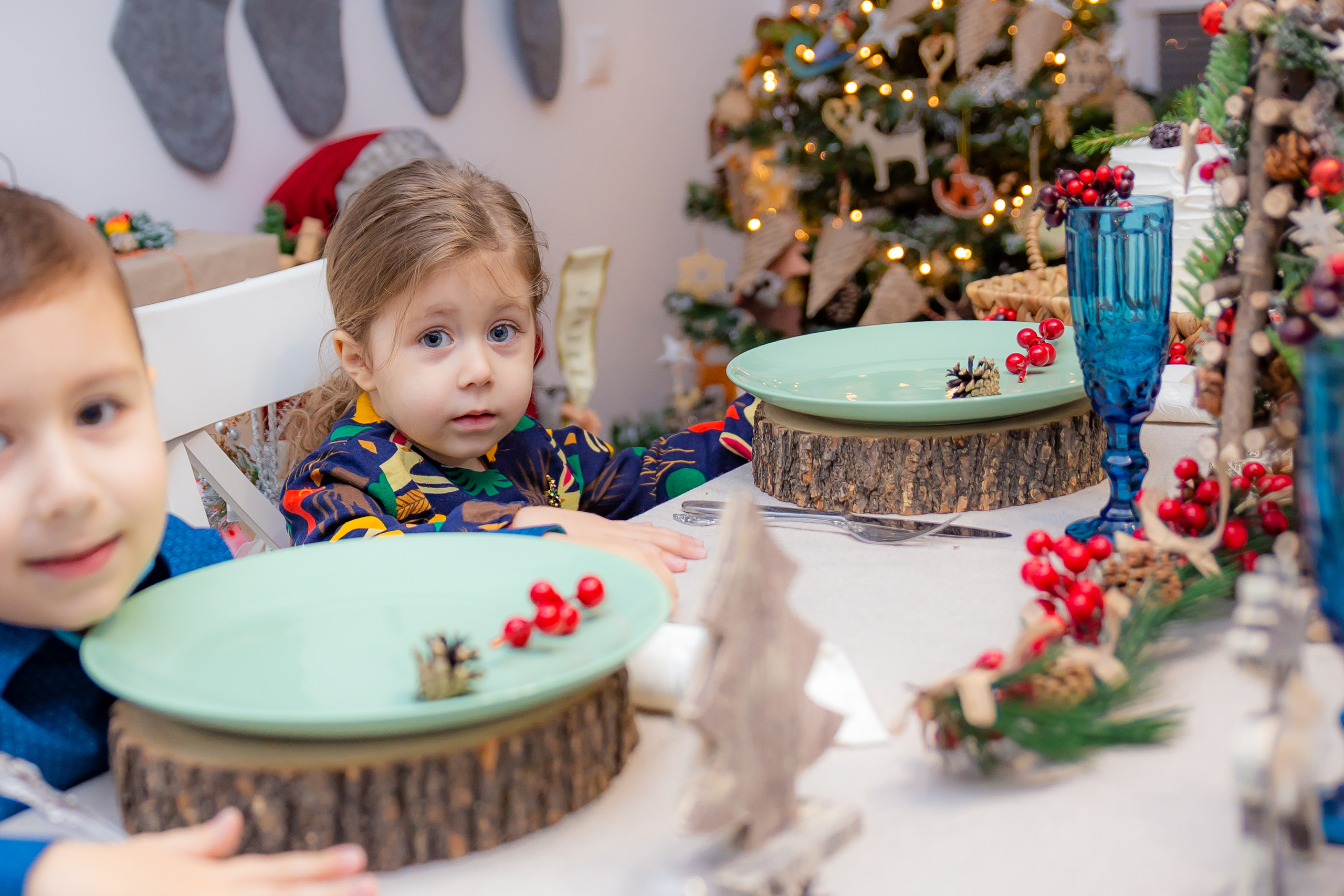 Новый Год 2019. Фотограф в Москве Юля Сова