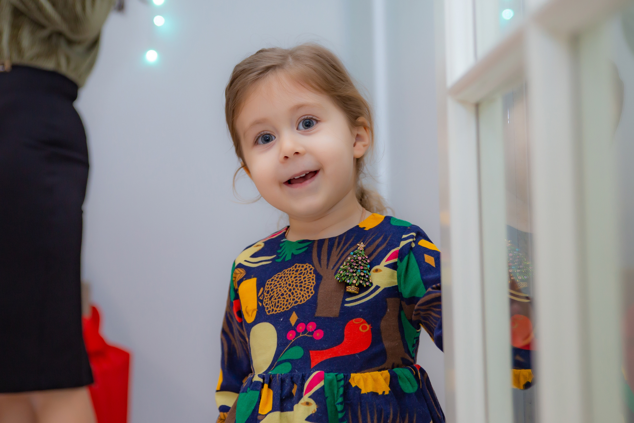 Новый Год 2019. Фотограф в Москве Юля Сова