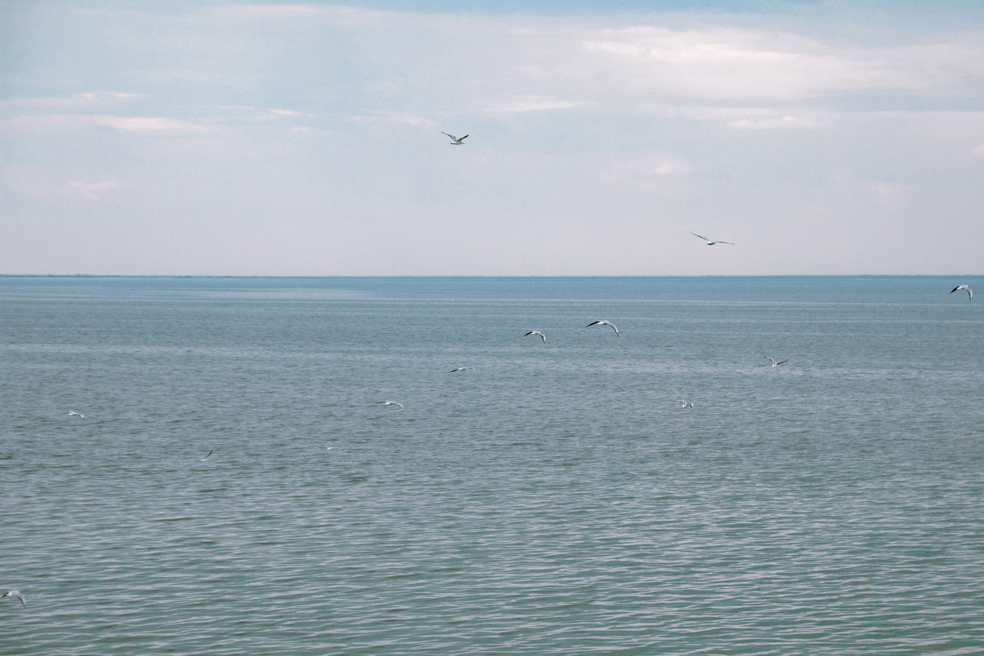 Мама и Сёстры 2016. Фотограф в Москве Юля Сова