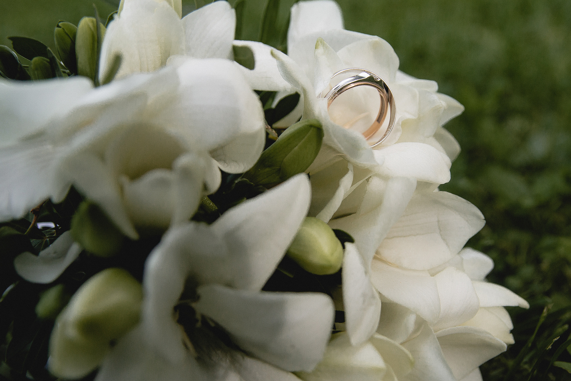 Петергоф 2017. Фотограф в Москве Юля Сова