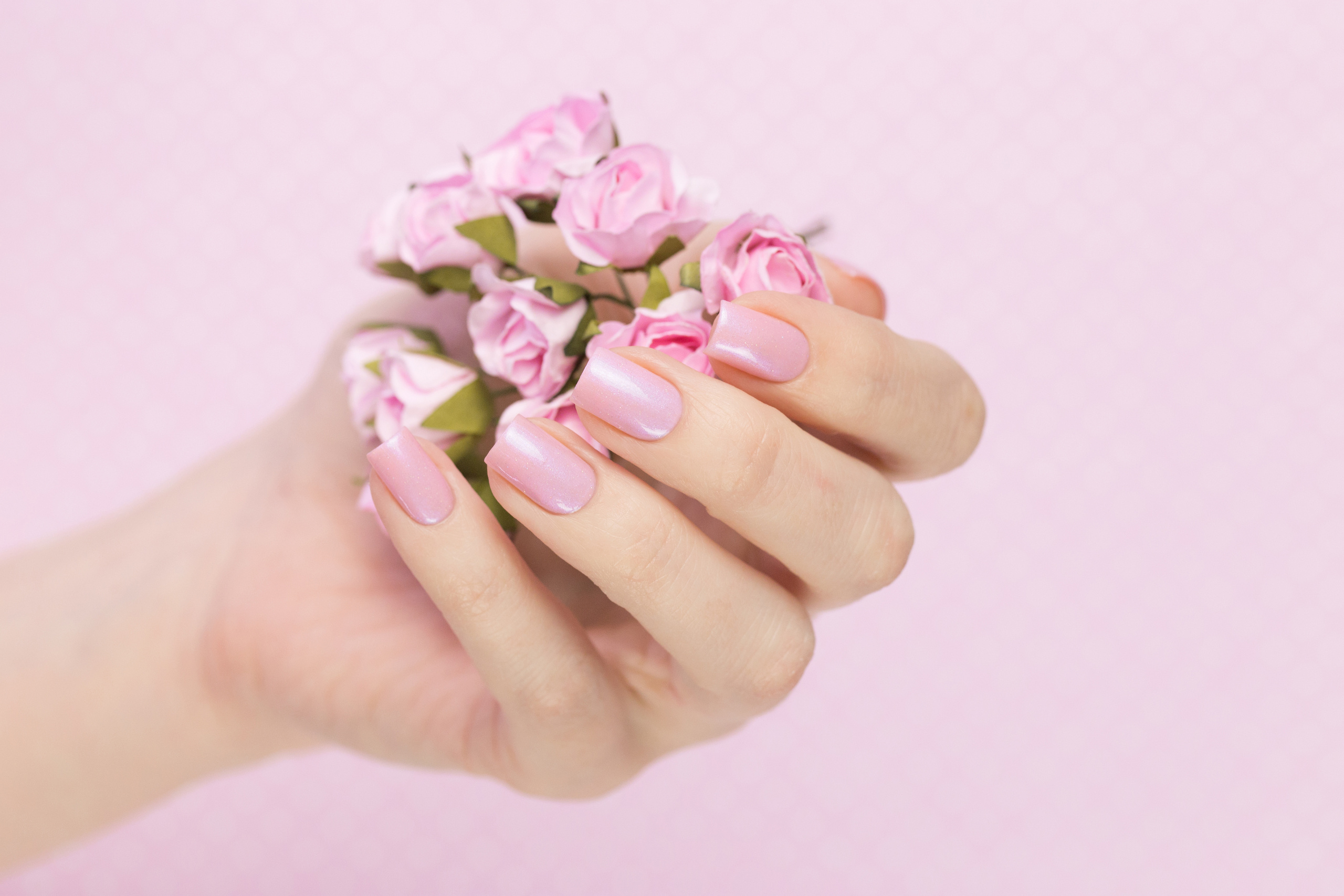 Предметная съёмка. Фотограф в Москве Юля Сова