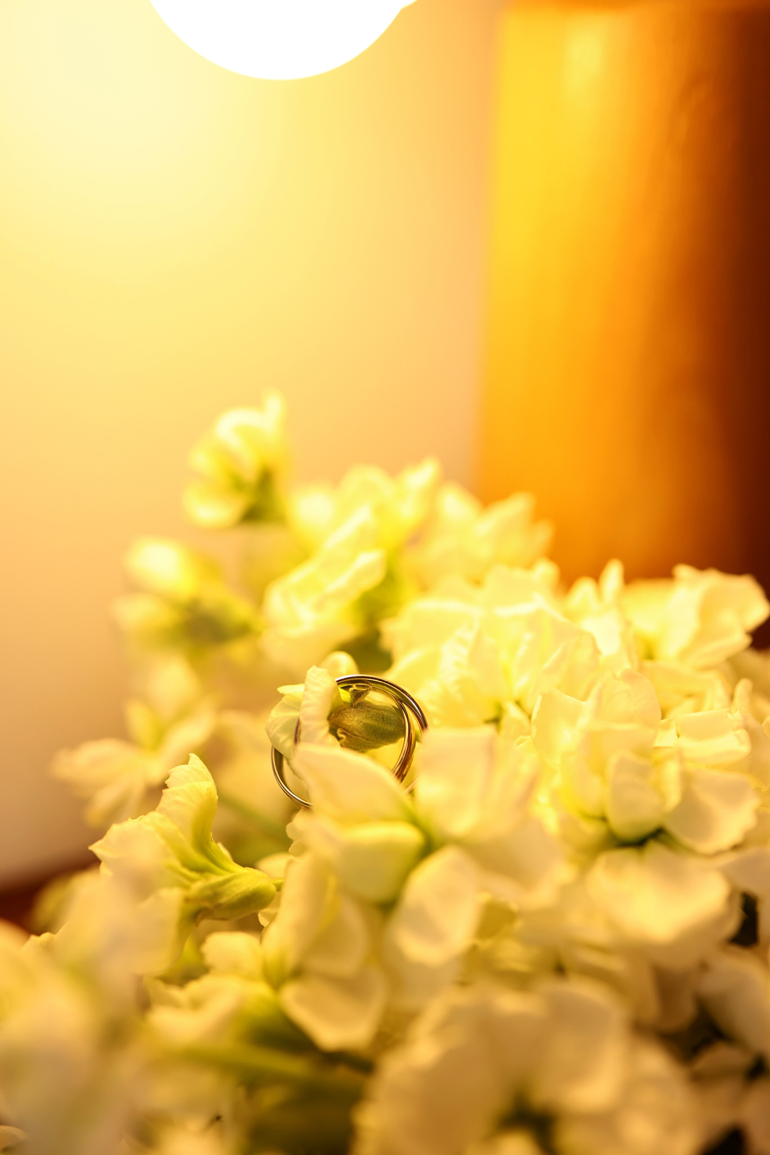 Василиса и Иван. Свадебный и семейный фотограф в Воронеже Ксения Воротникова