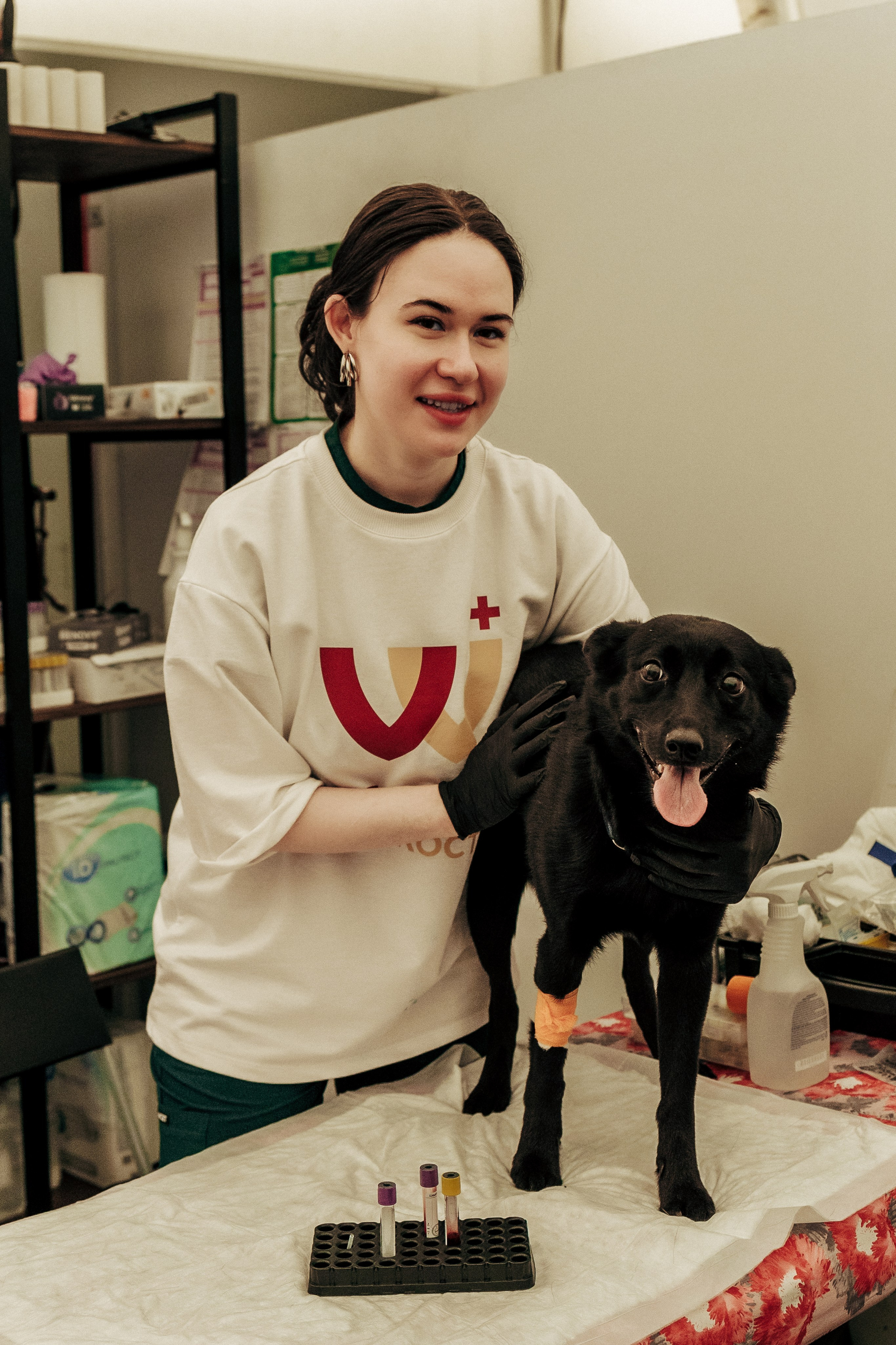 Репортажная фотосессия «День питомца-донора». Профессиональный фотограф в Санкт-Петербурге Александр Волосенцев