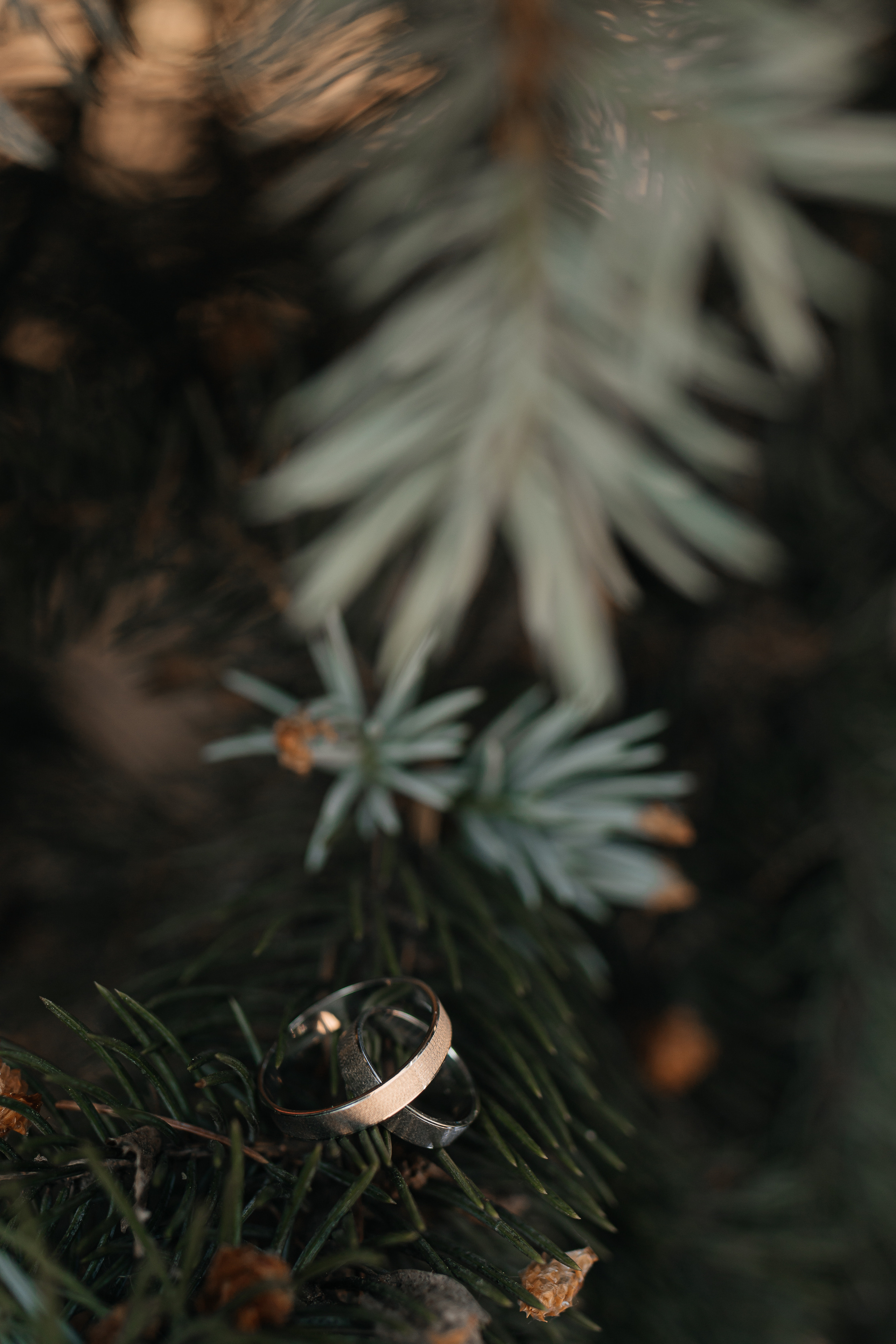 Юлия и Антон. Фотограф Елена Пожарова. Мурманская область, Апатиты, Кировск, Хибины