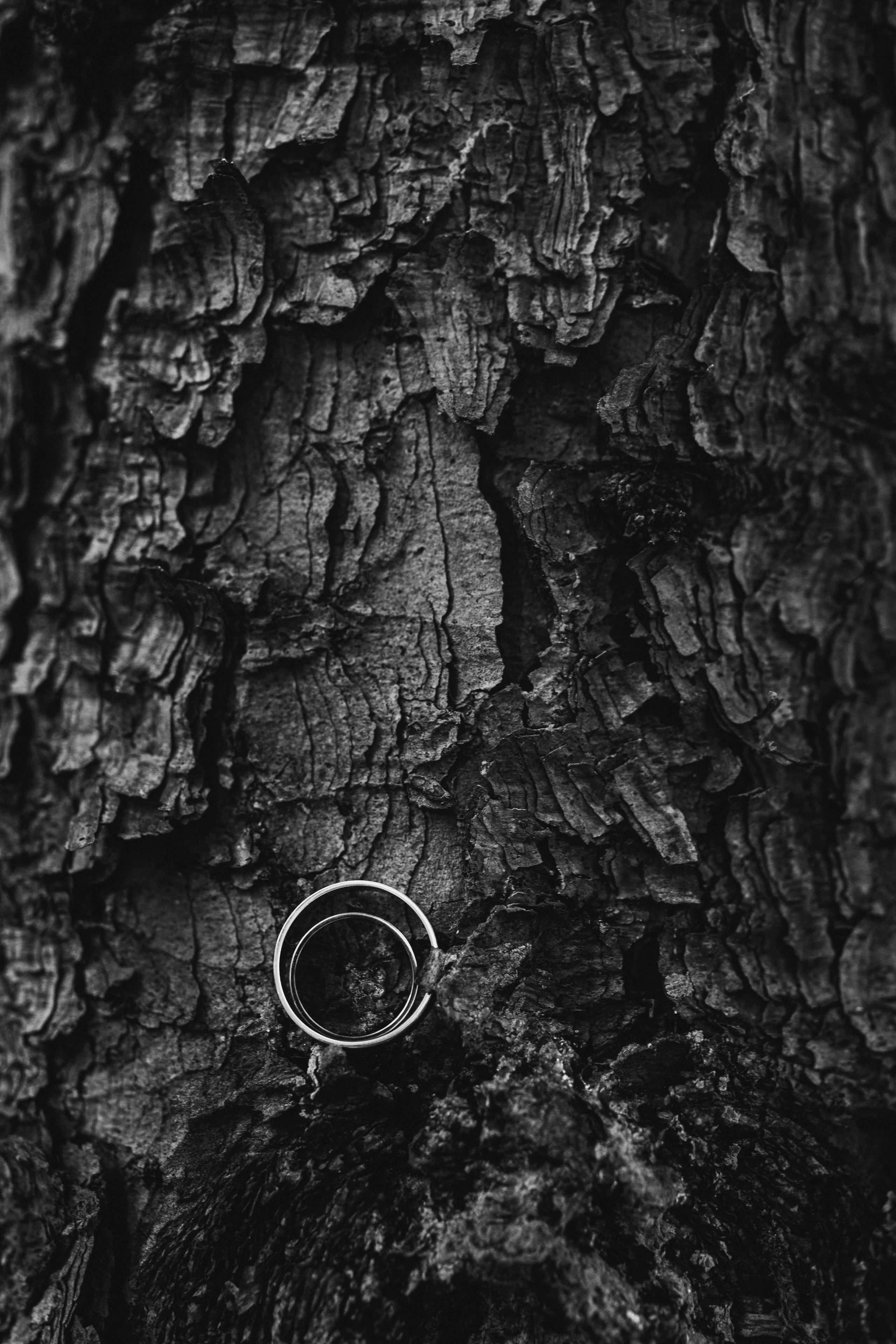 Юлия и Антон. Фотограф Елена Пожарова. Мурманская область, Апатиты, Кировск, Хибины